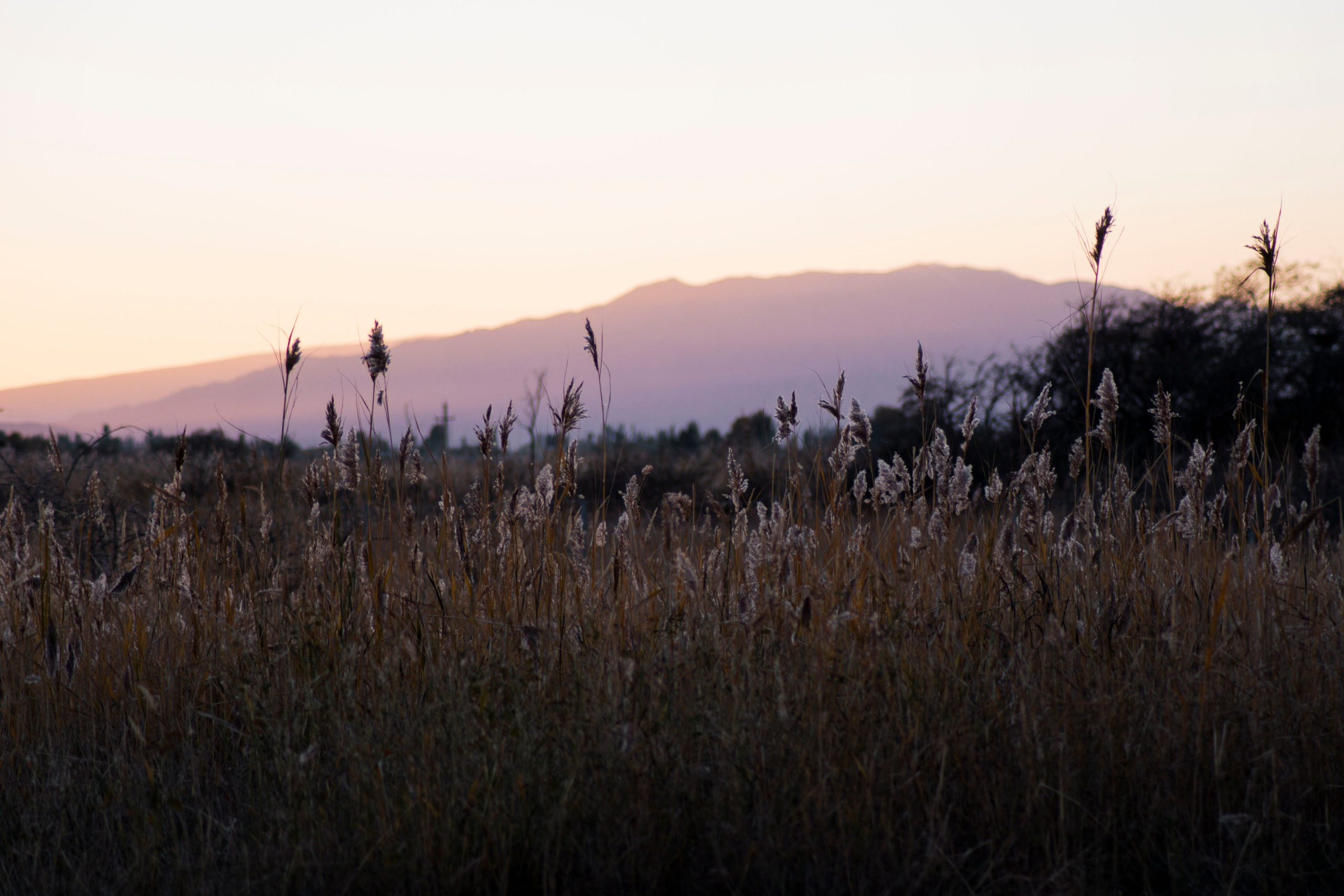 Кыргызстан. Iraogo