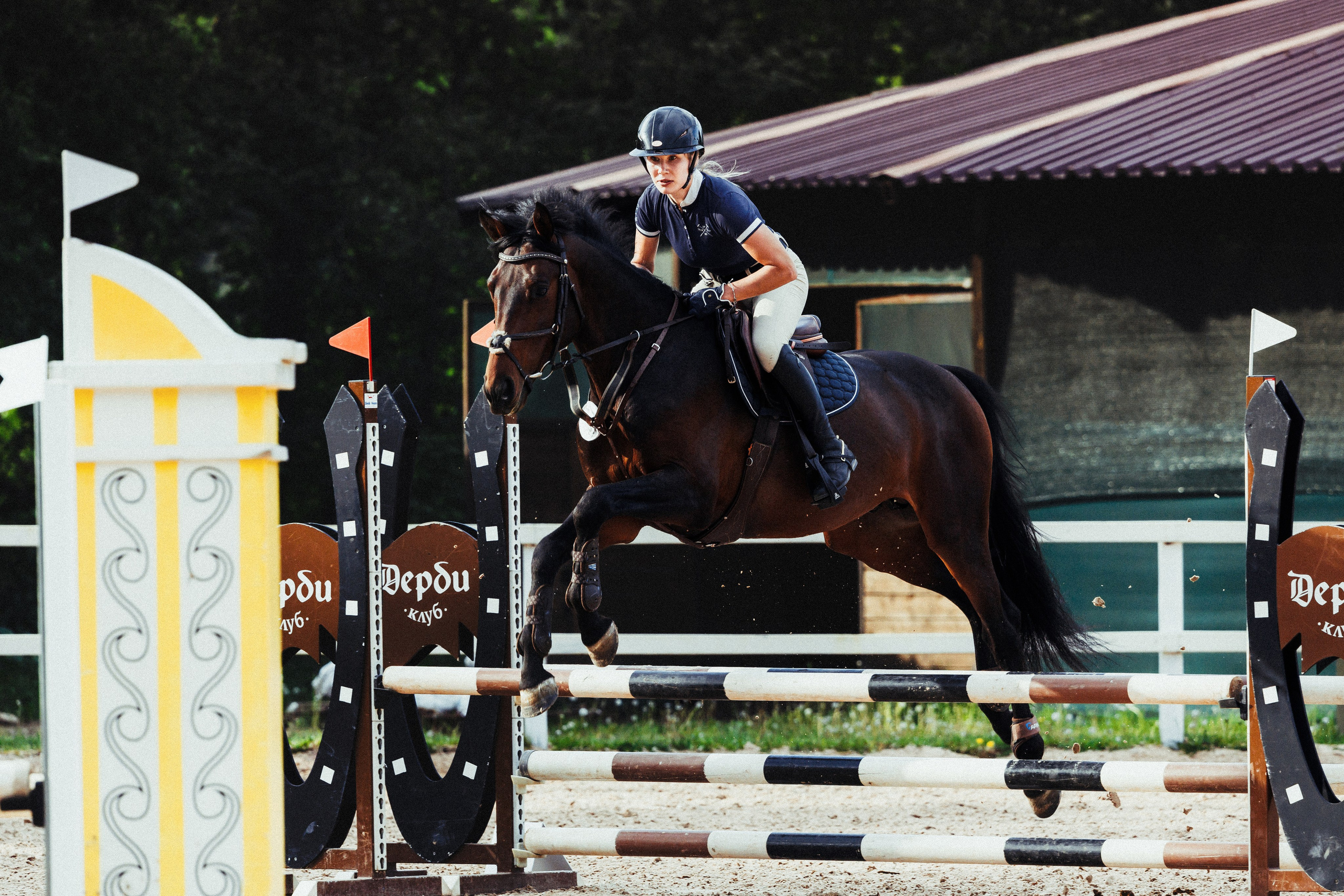 Соревнования. Спортивный фотограф Санкт-Петербург
