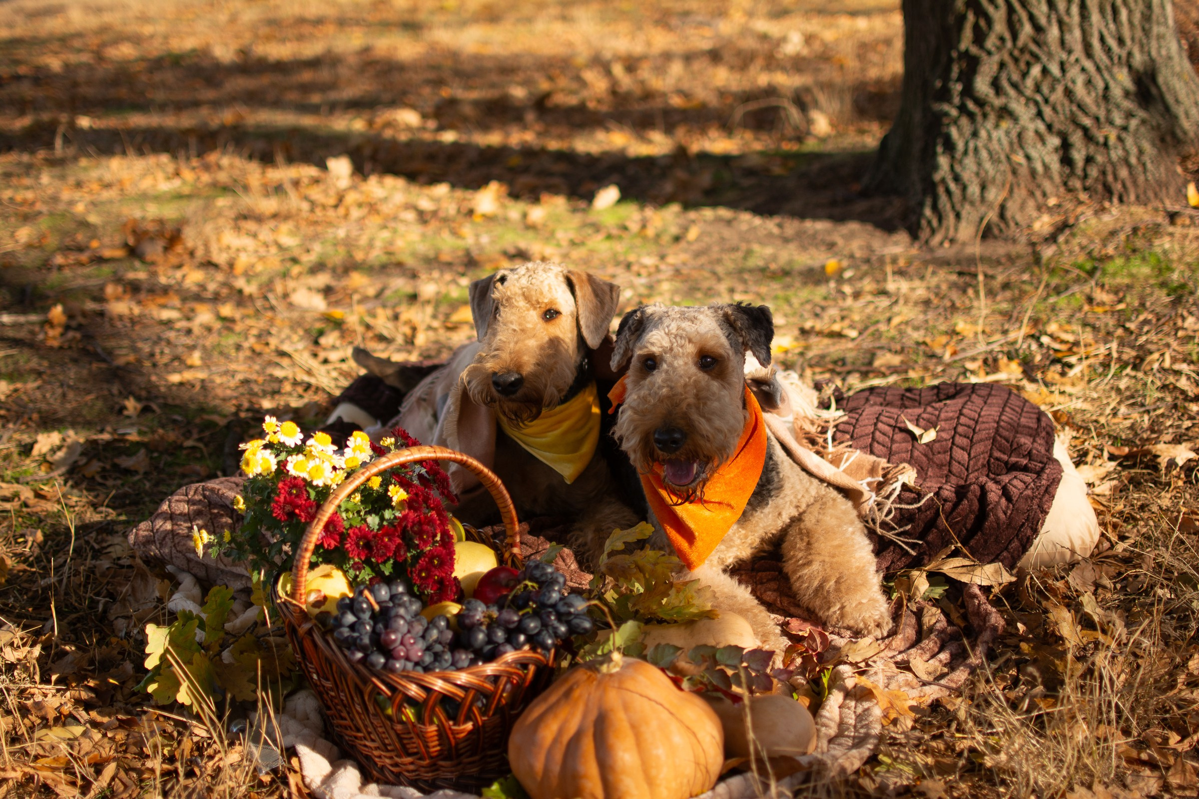 Сергей и Ирина
