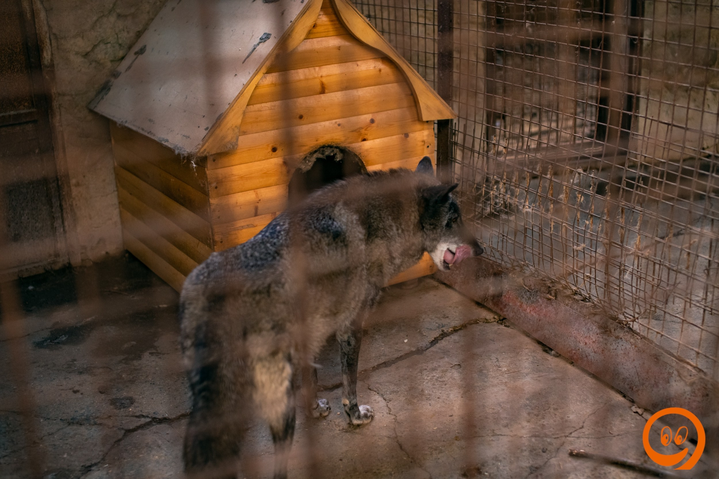 Шашлыки | 12.06.25. Галерея Фантим