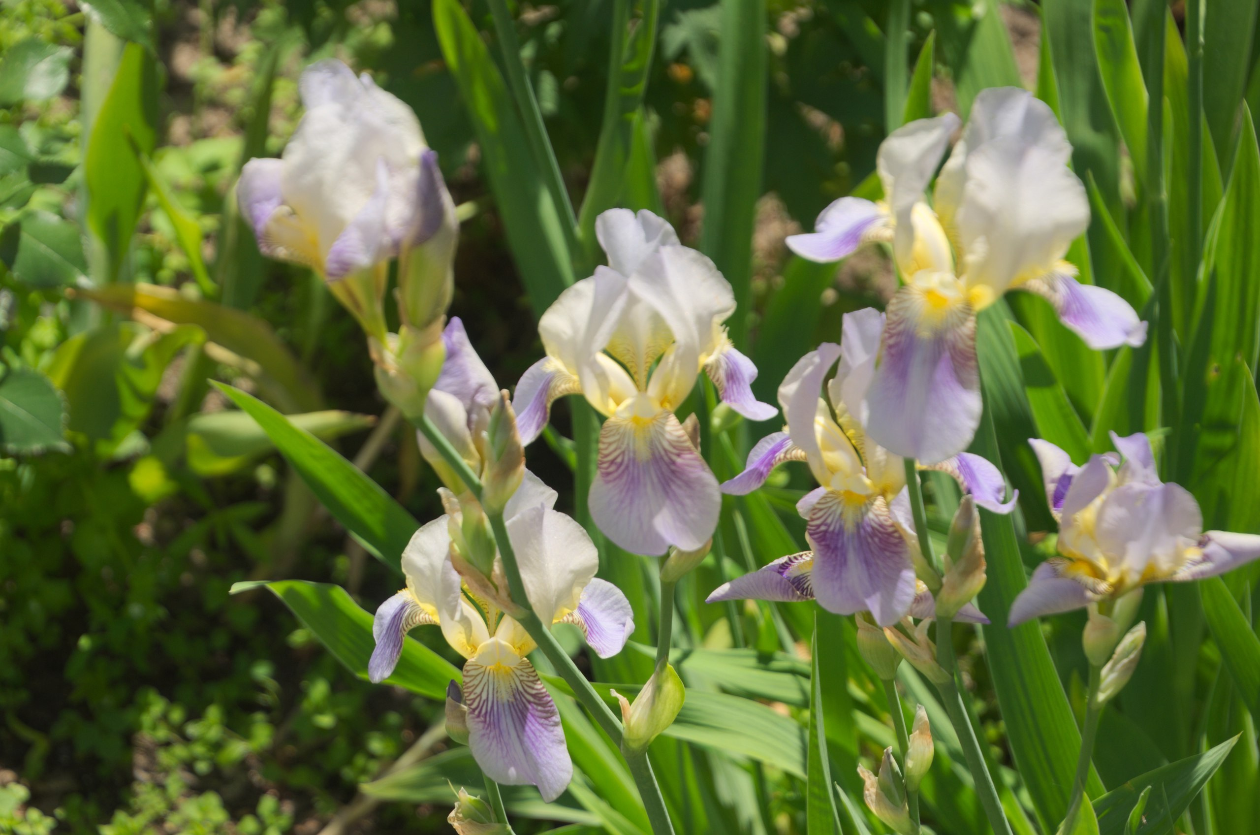 Таруса+Серпухов | 18.06.2017. Галерея Фантим