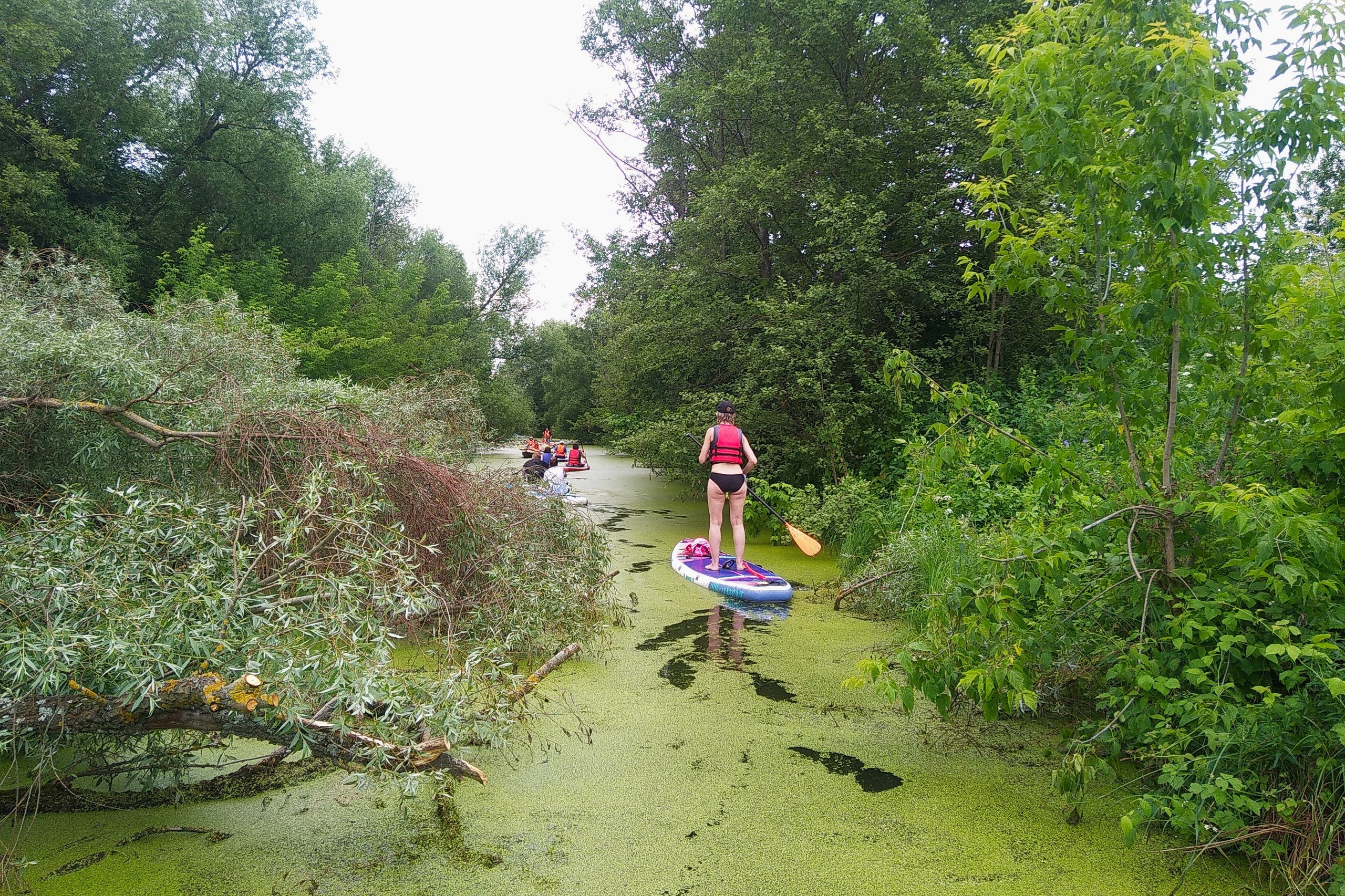 Сплав на сапах | 16.06.2024. Галерея Фантим