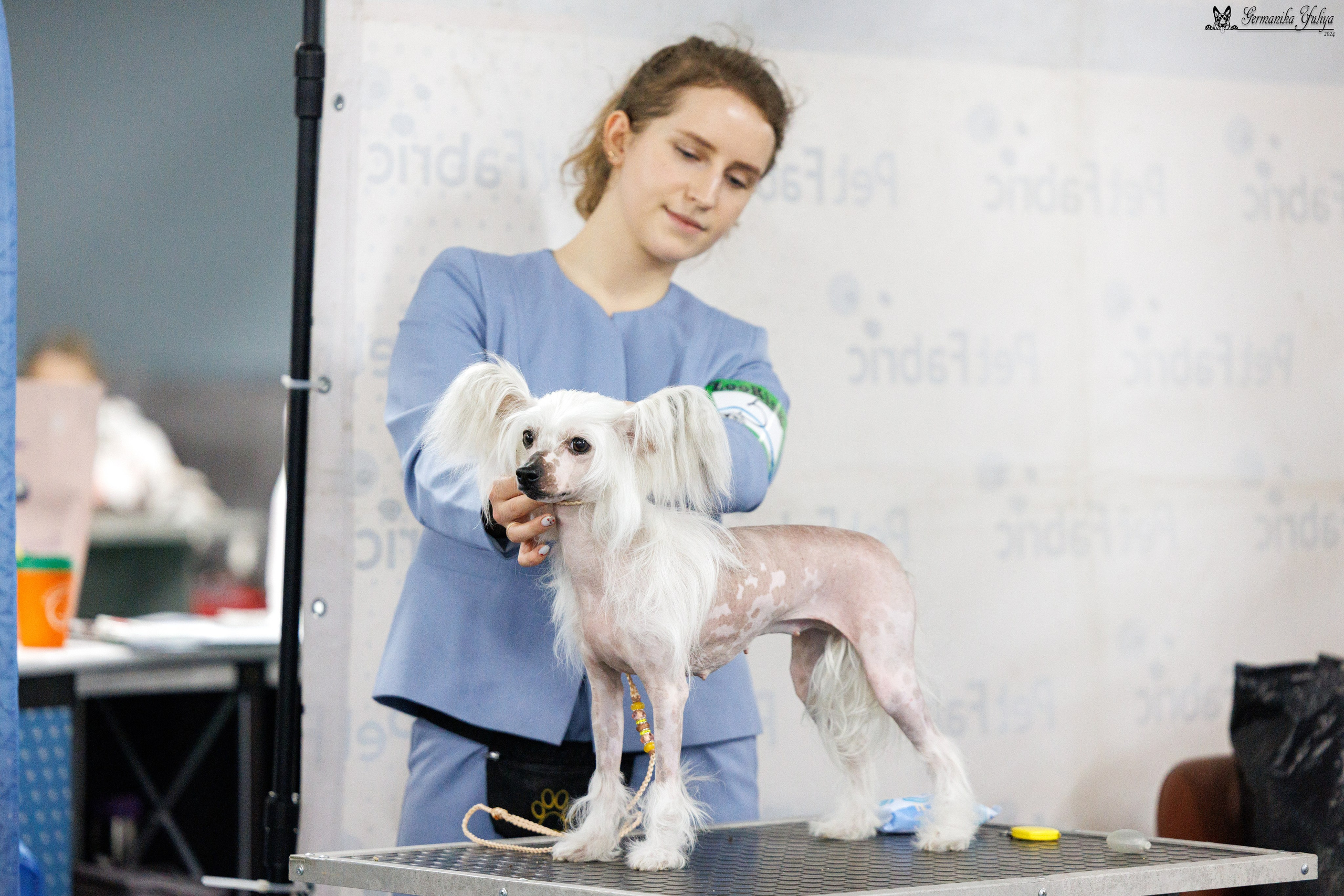 Сфера 28.01. и 4.02.2024. Фотограф-анималист Юлия Германика