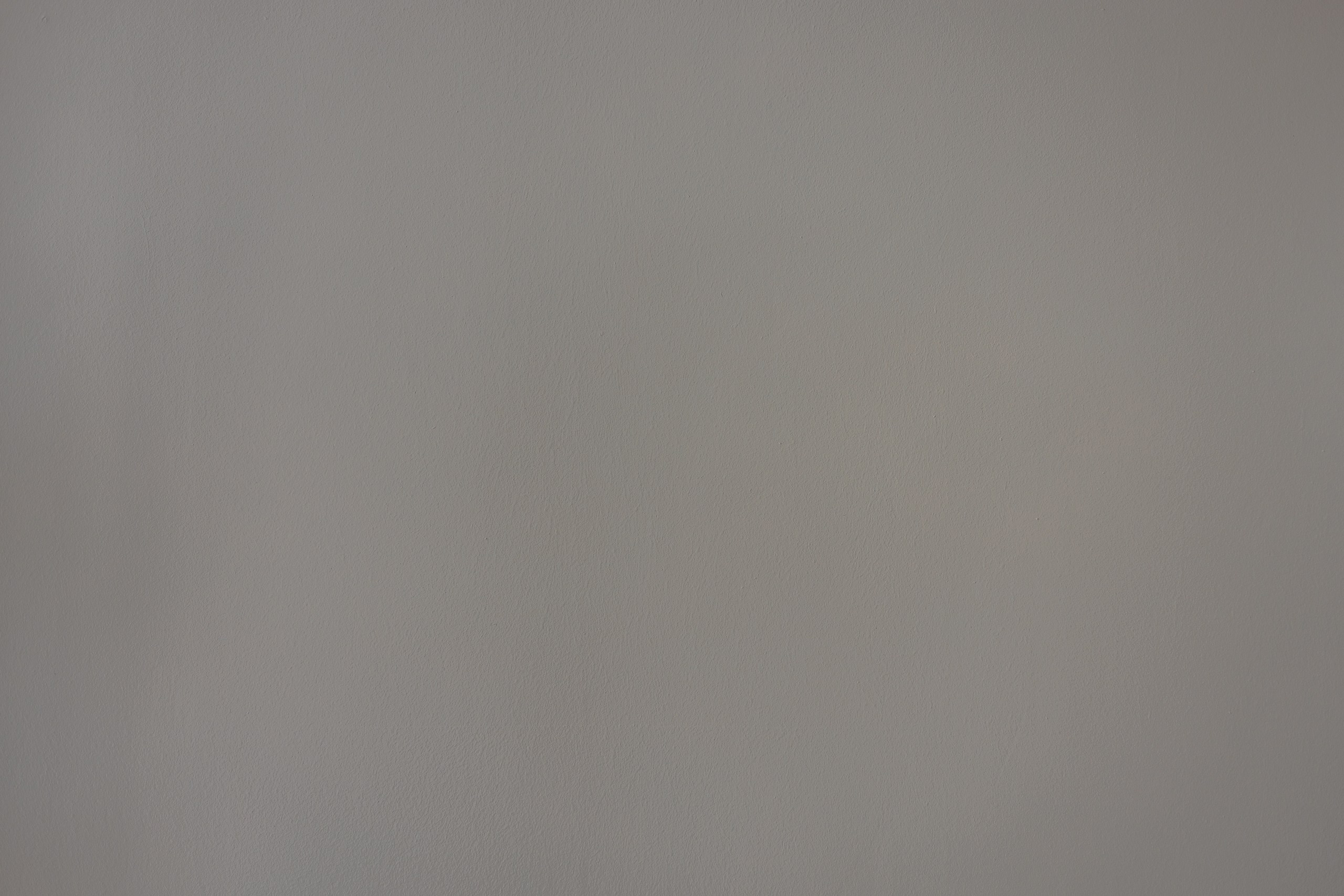 Репетитор английского языка. Фотограф Елена Медок Калининград