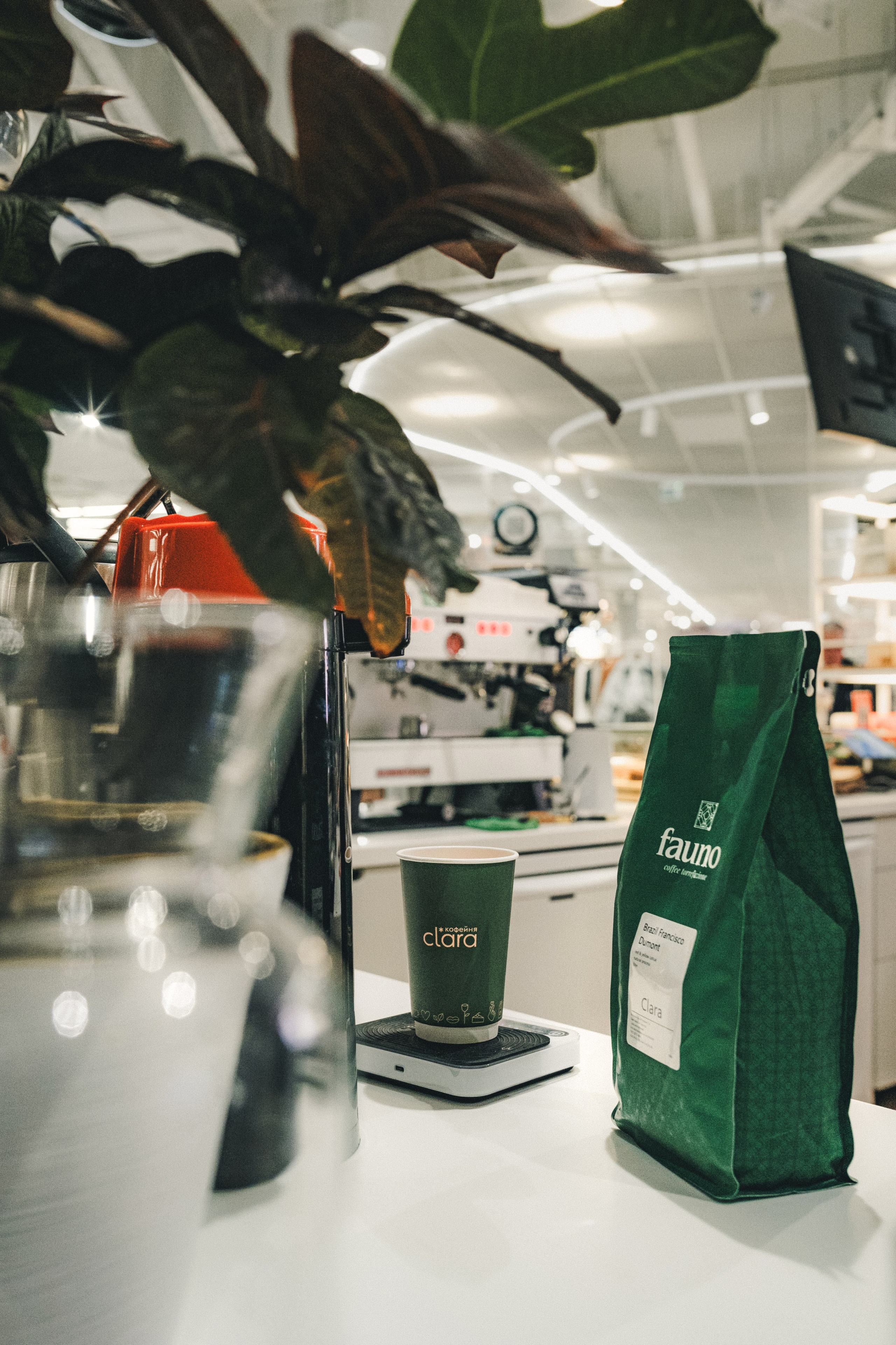 Clara. Фотограф Илья К. в Москве