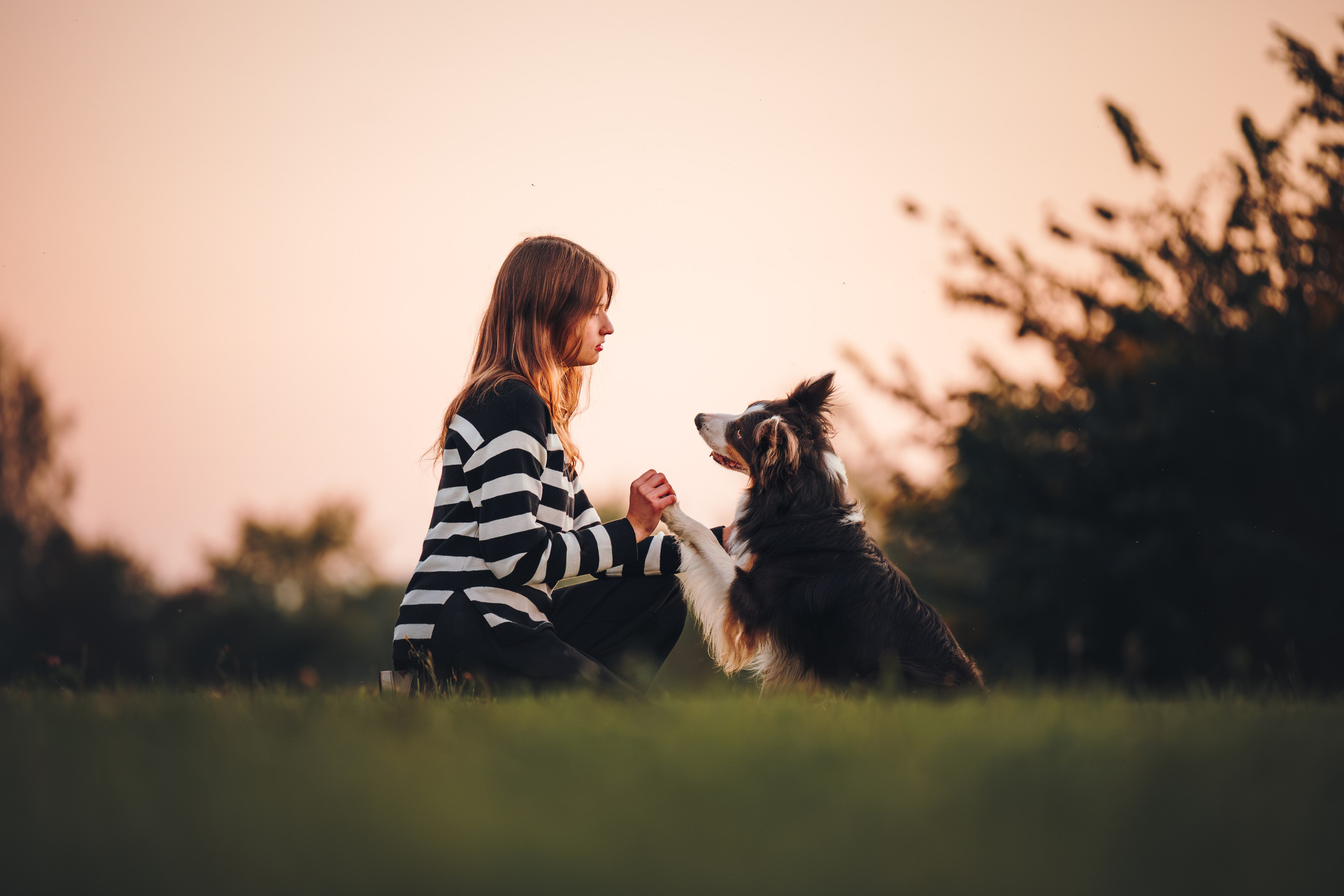 Саша, Флик и Эсприт. Семейный фотограф анималист Ананьева Мария — Москва