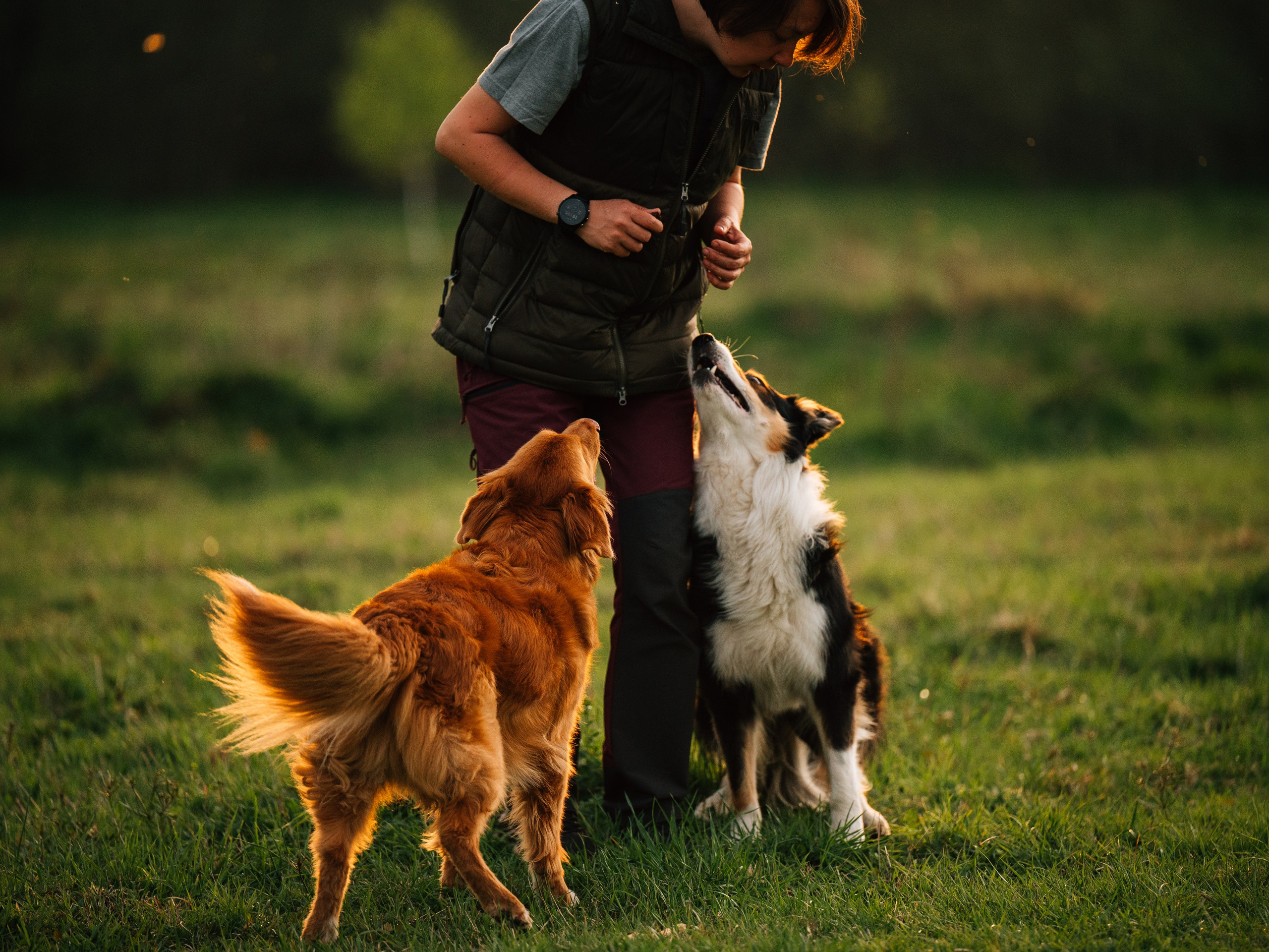 Алия, Ирвин и Грут. Семейный фотограф анималист Ананьева Мария — Москва