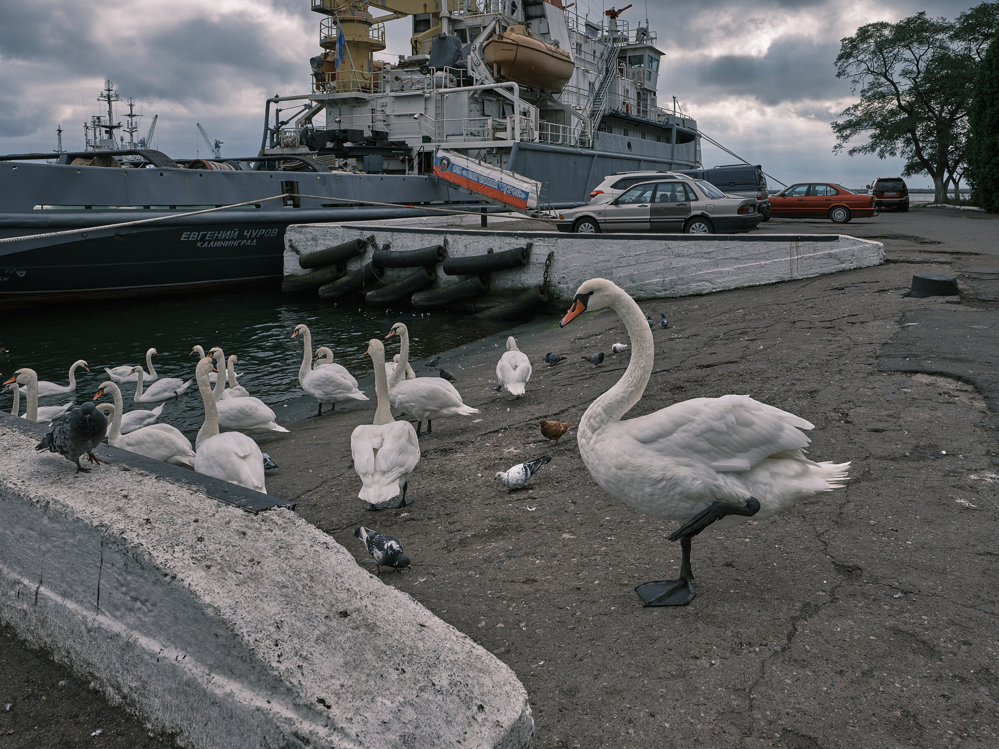 Балтийск. Экскурсии по Калининграду