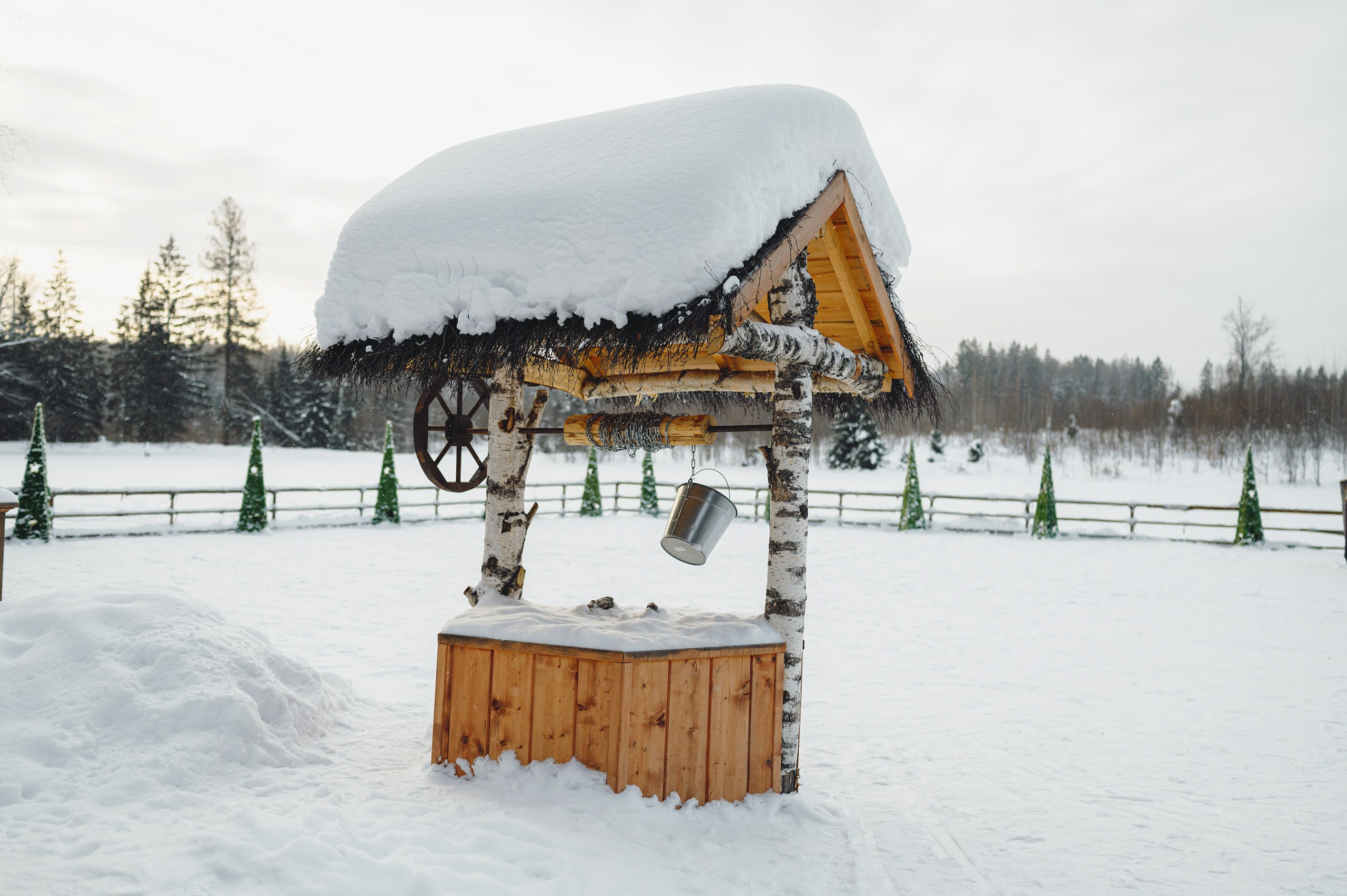 Январь. Komonev