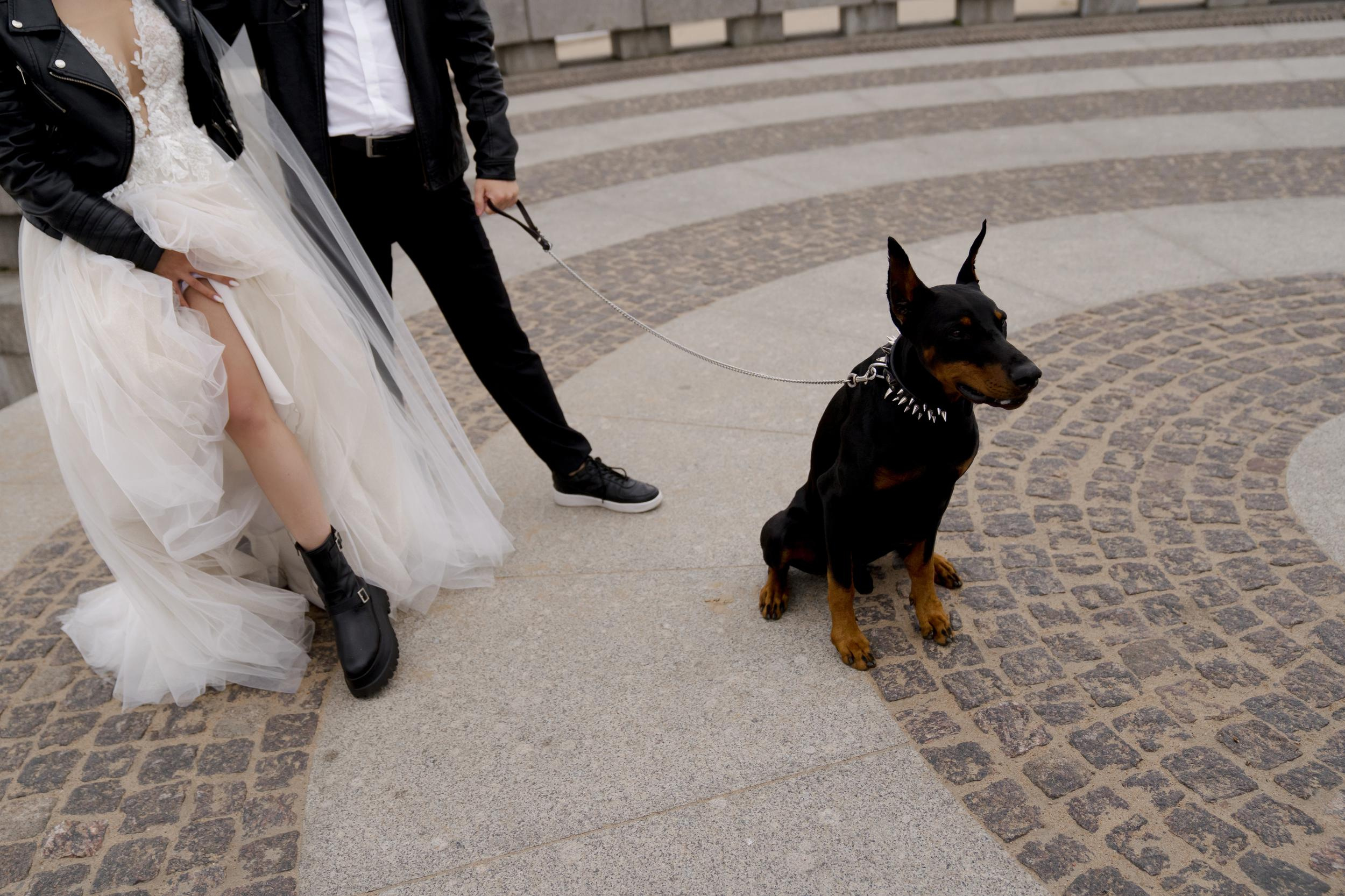 Wedding D&M. Свадебный фотограф Санкт-Петербург СПб