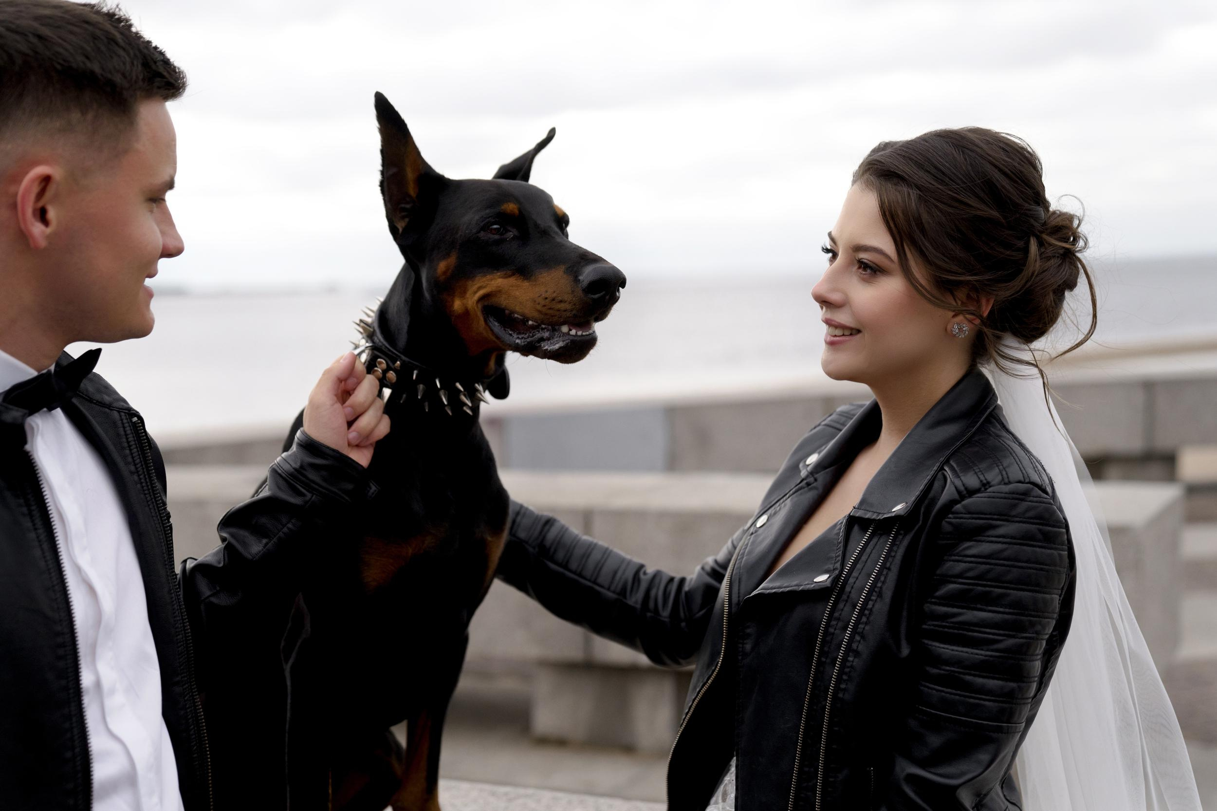 Wedding D&M. Свадебный фотограф Санкт-Петербург СПб