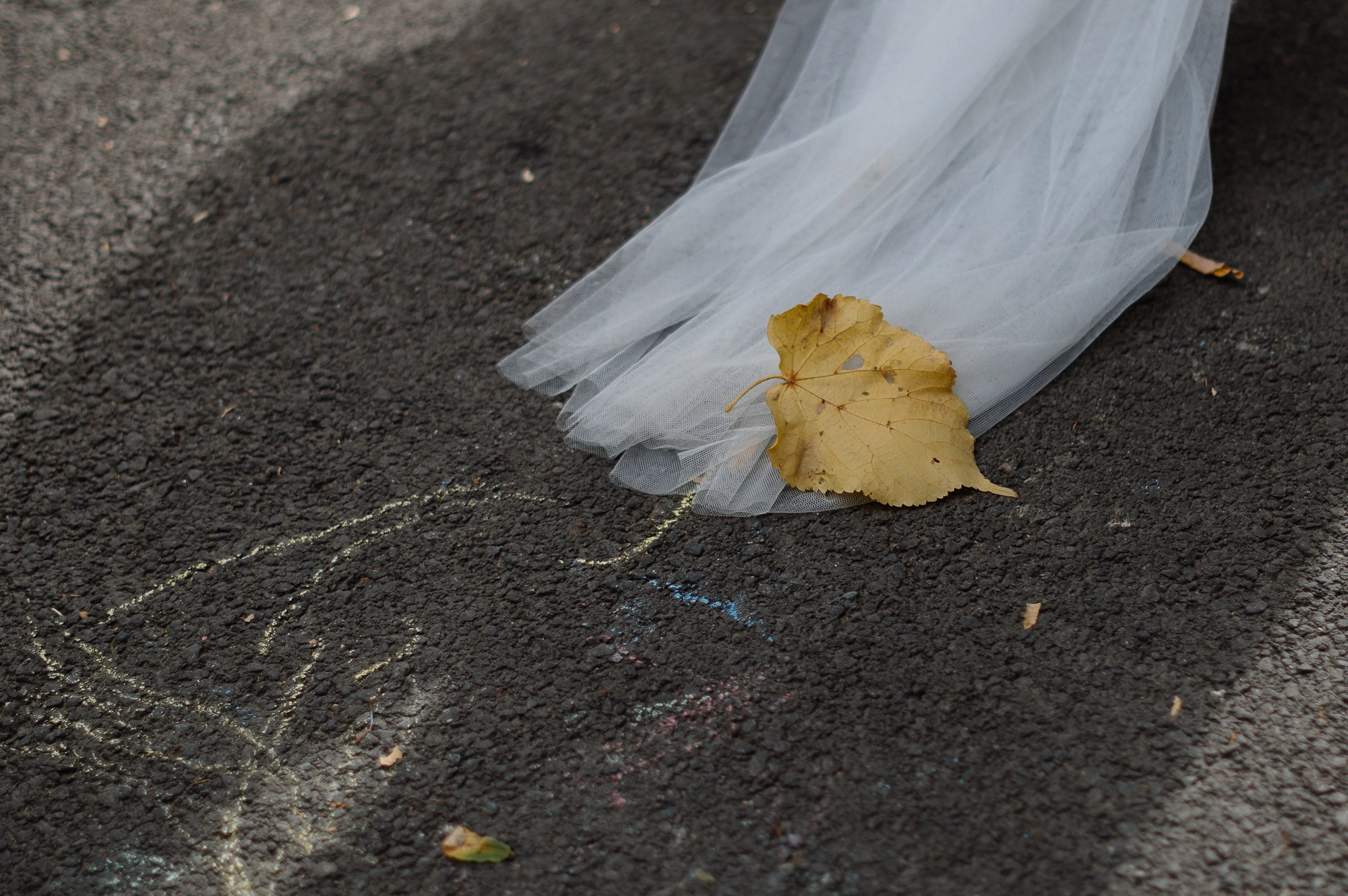 WEDDING DAY. Свадебный фотограф в Ставрополе Сергей Шляхов