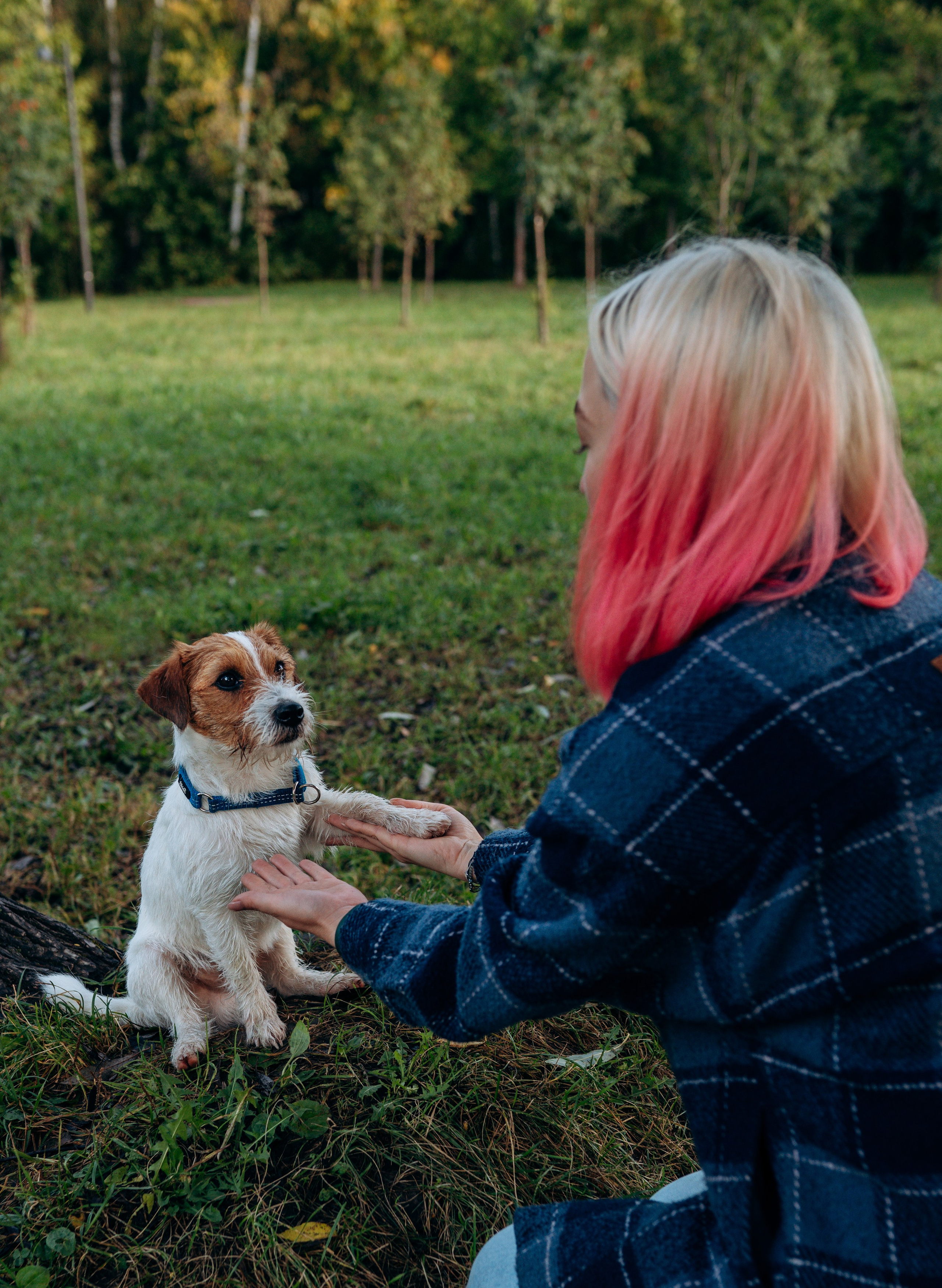 Фотосессия с маленькой собакой Спб. Фотограф анималист в Спб недорого Олеся Майорова