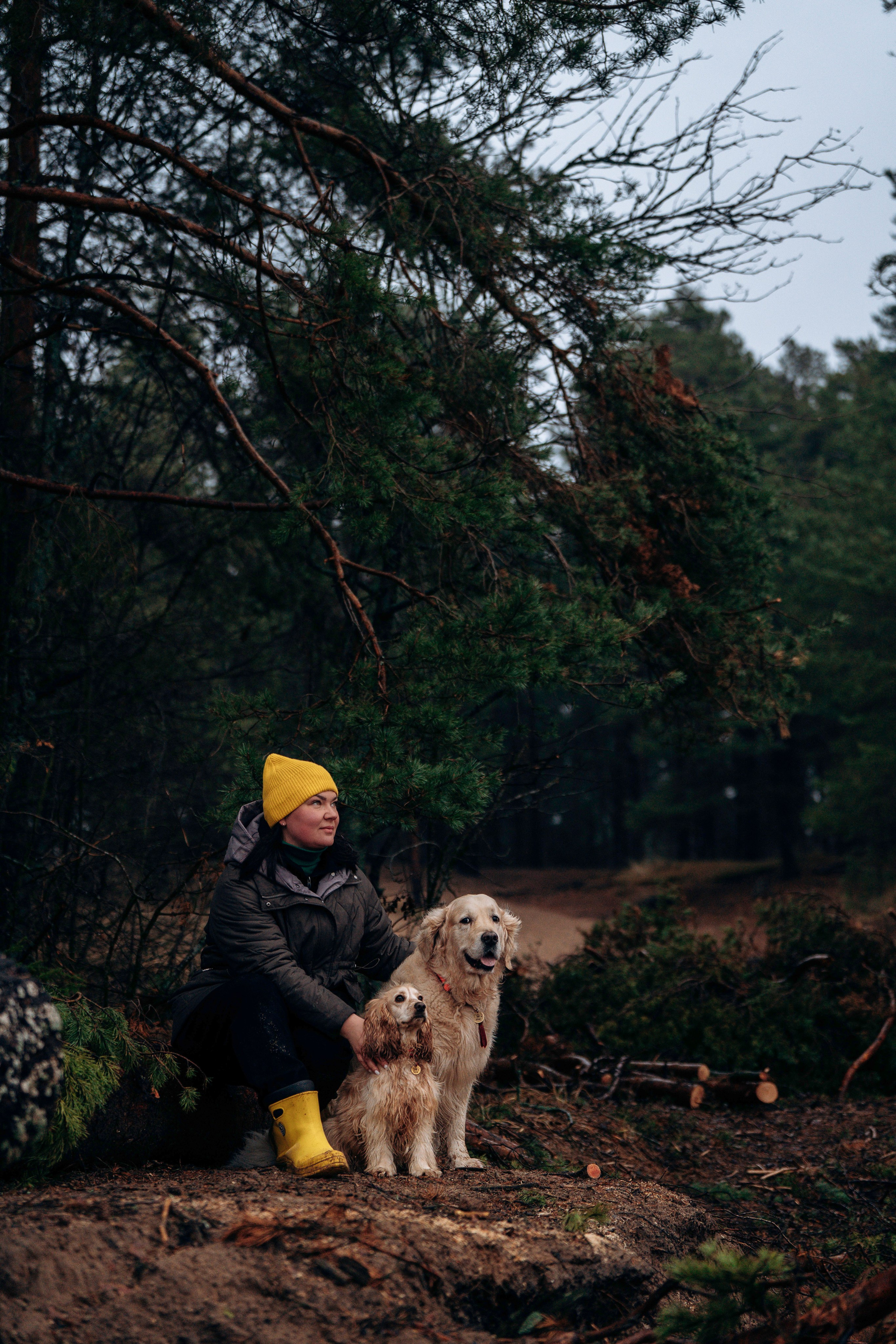 Асти, Крис и Александра. Фотограф анималист в Спб недорого Олеся Майорова