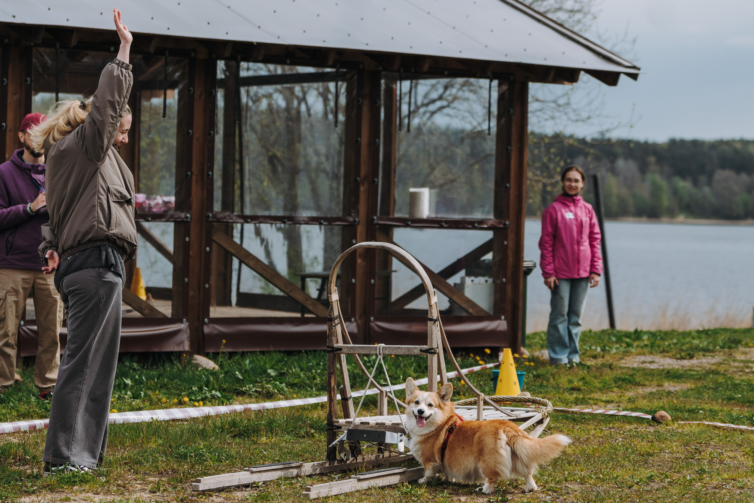 Соревнования по ноузворку в Лосево. Фотограф анималист в Спб недорого Олеся Майорова