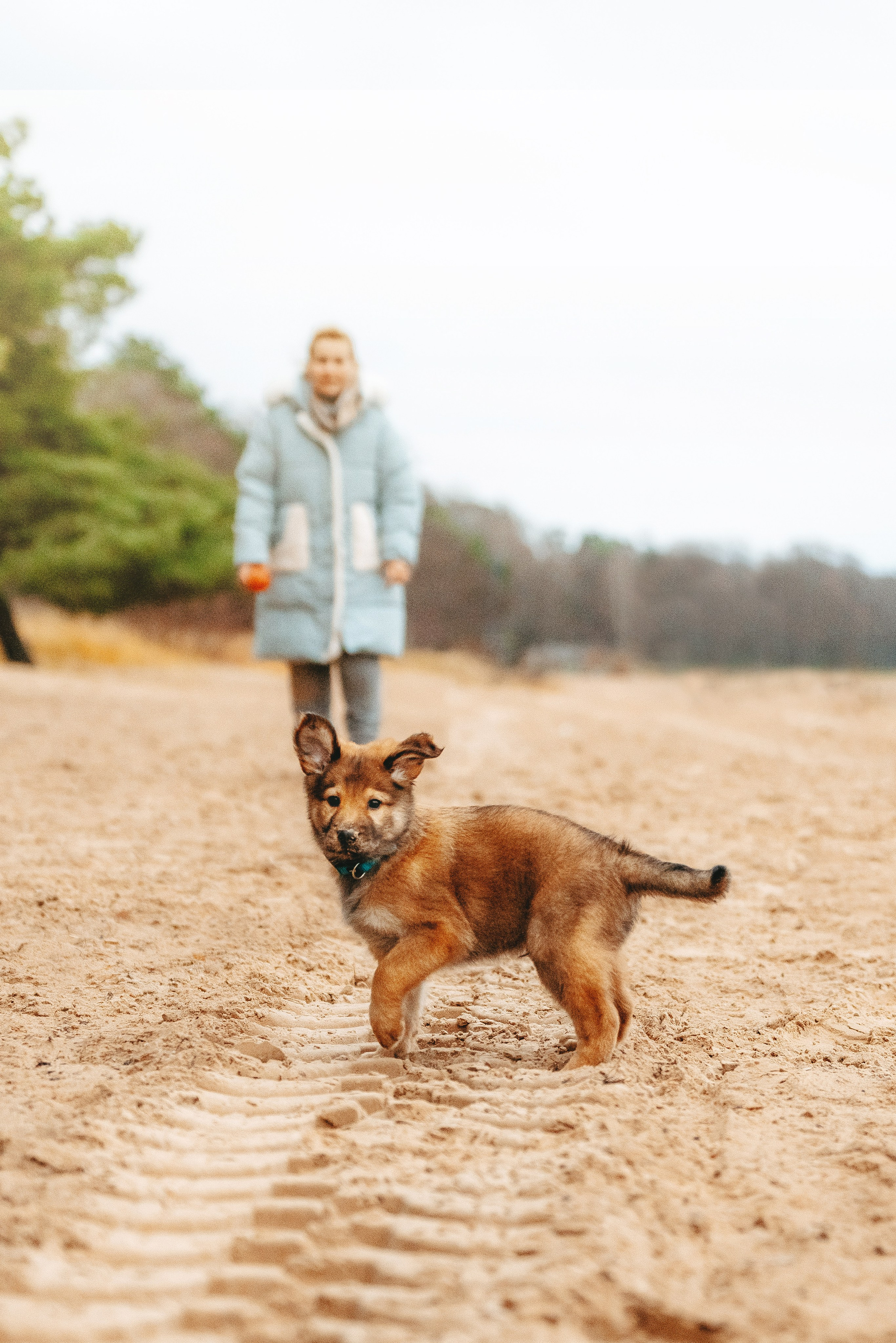 Малыш Кузя и его семья. Фотограф анималист в Спб недорого Олеся Майорова