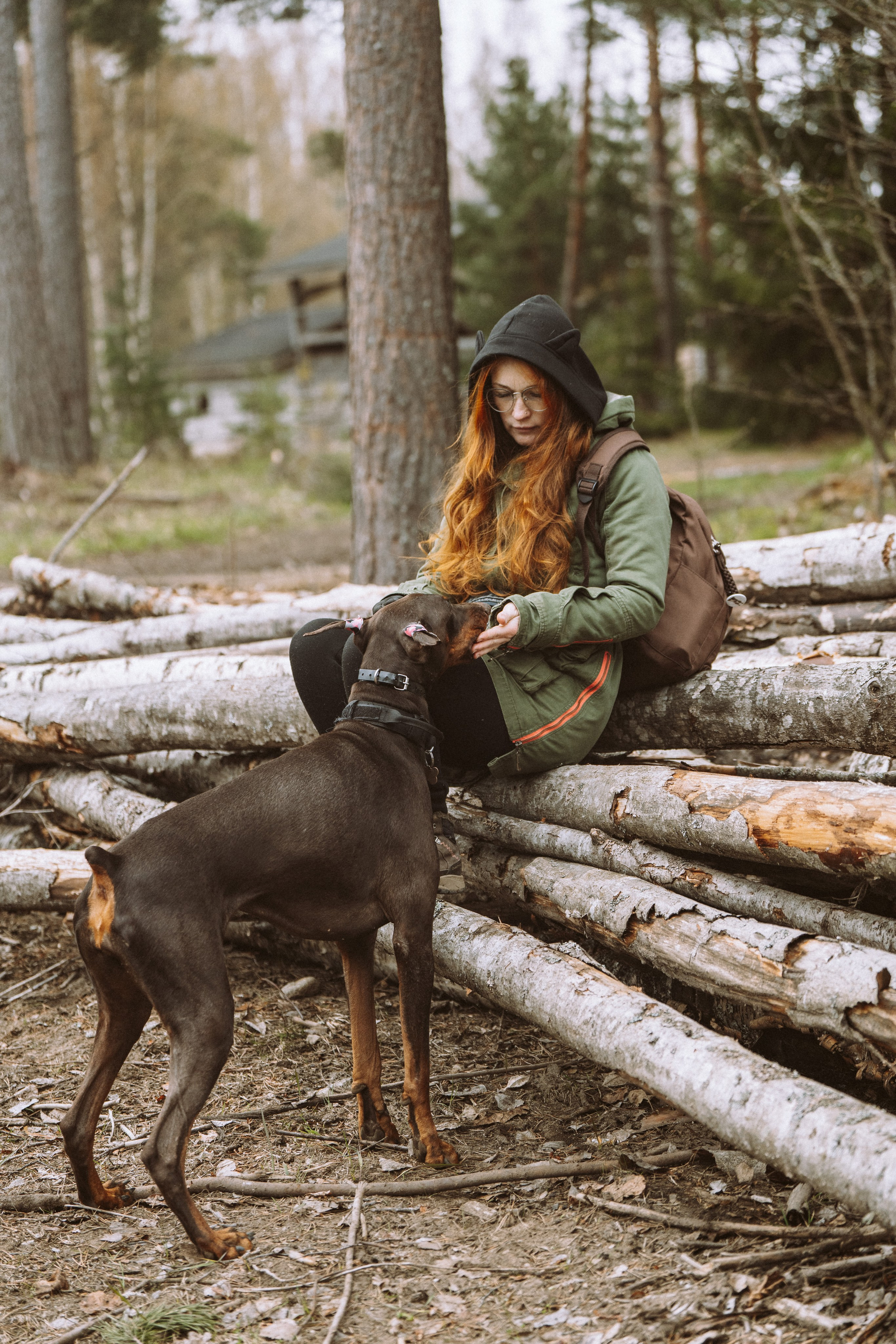 Дог трекинг к финскому хутору. Фотограф анималист в Спб недорого Олеся Майорова