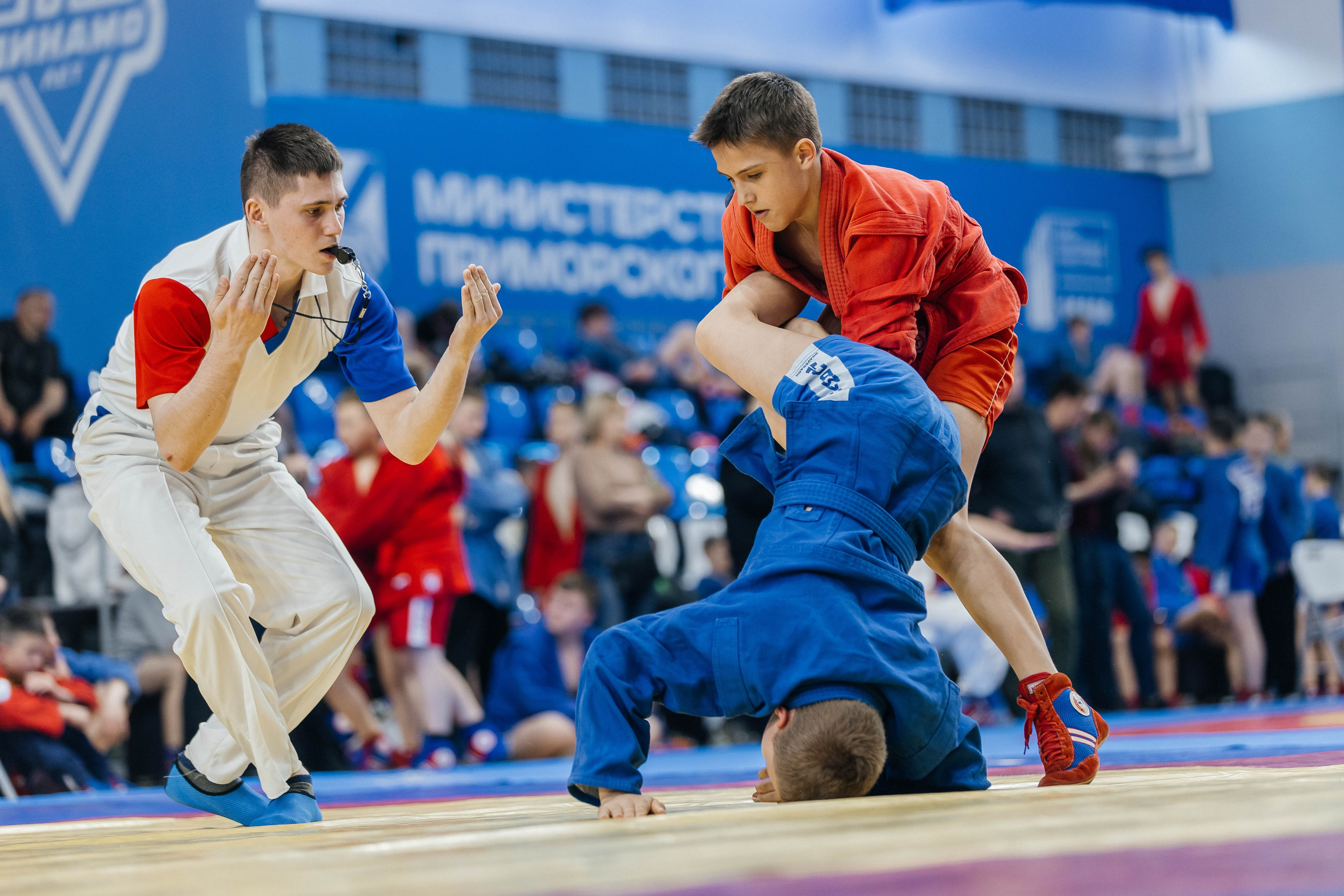 Sambo Championship. Maxim Tsoy Photography
