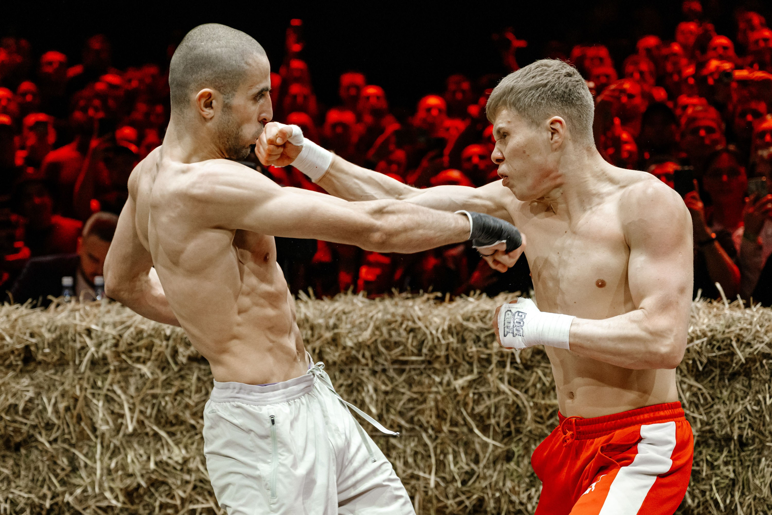 TOP DOG. Максим Комаров — Профессиональный фотограф