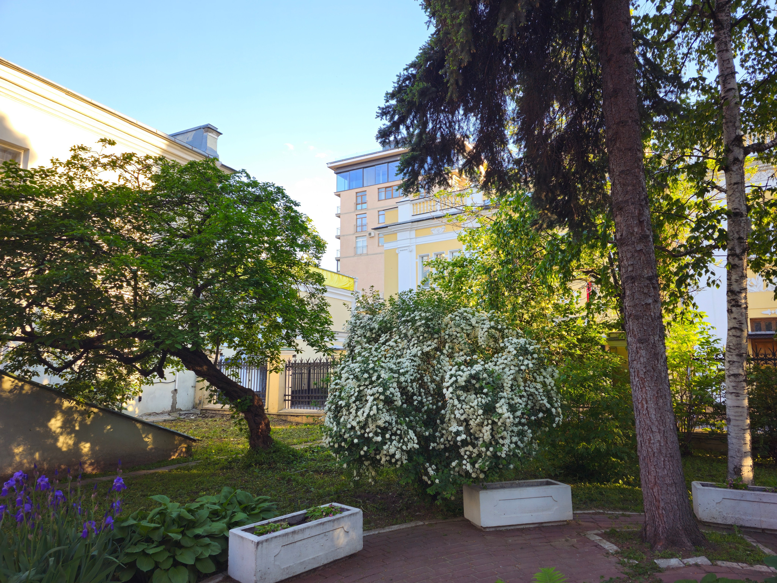 Фото прогулки по&nbsp;Москве весной: станция метро Кропоткинская, Государственный музей Л.&nbsp;Н.&nbsp;Толстого, весна, цветы. Эстетика, вдохновение, визуал. Бесплатные фото для сайтов, блогов, соцсетей и др., обои, заставки на мобильный телефон и рабочий стол. cc by-nc-sa