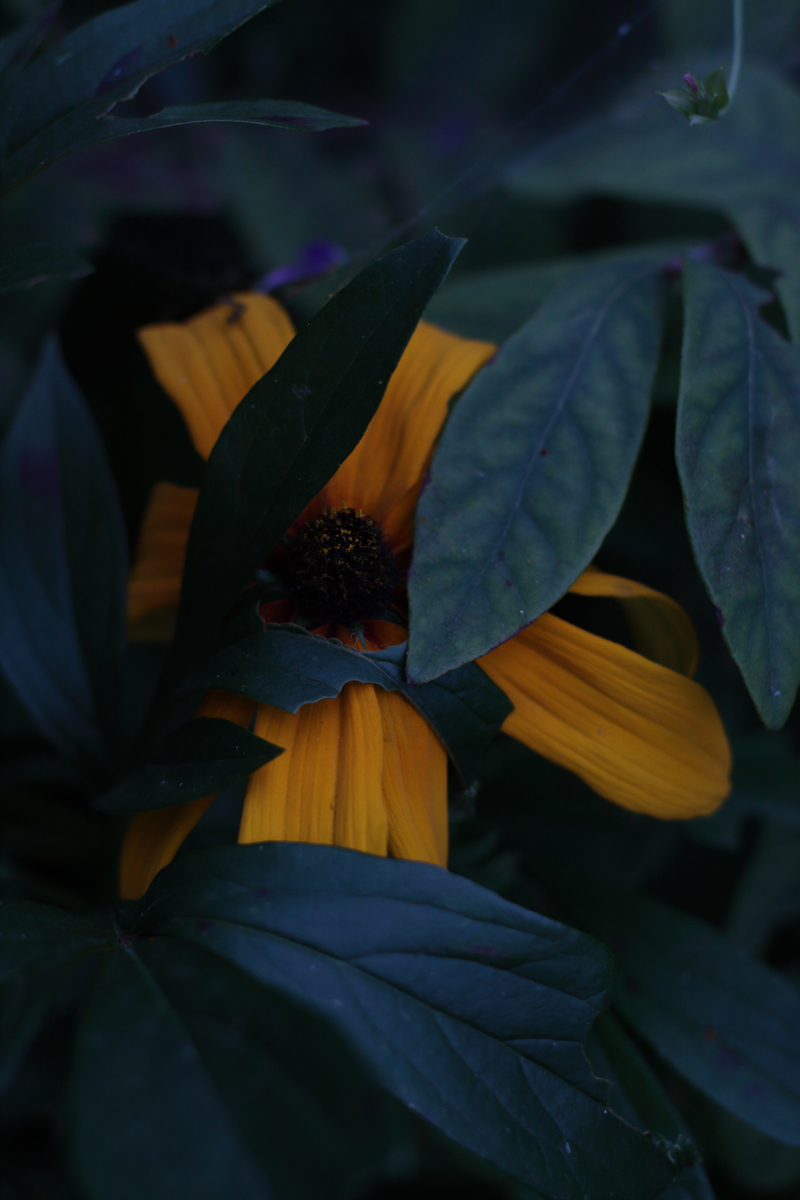 Старое природное, отбирала Katamount (Катерина Горохова). Главная