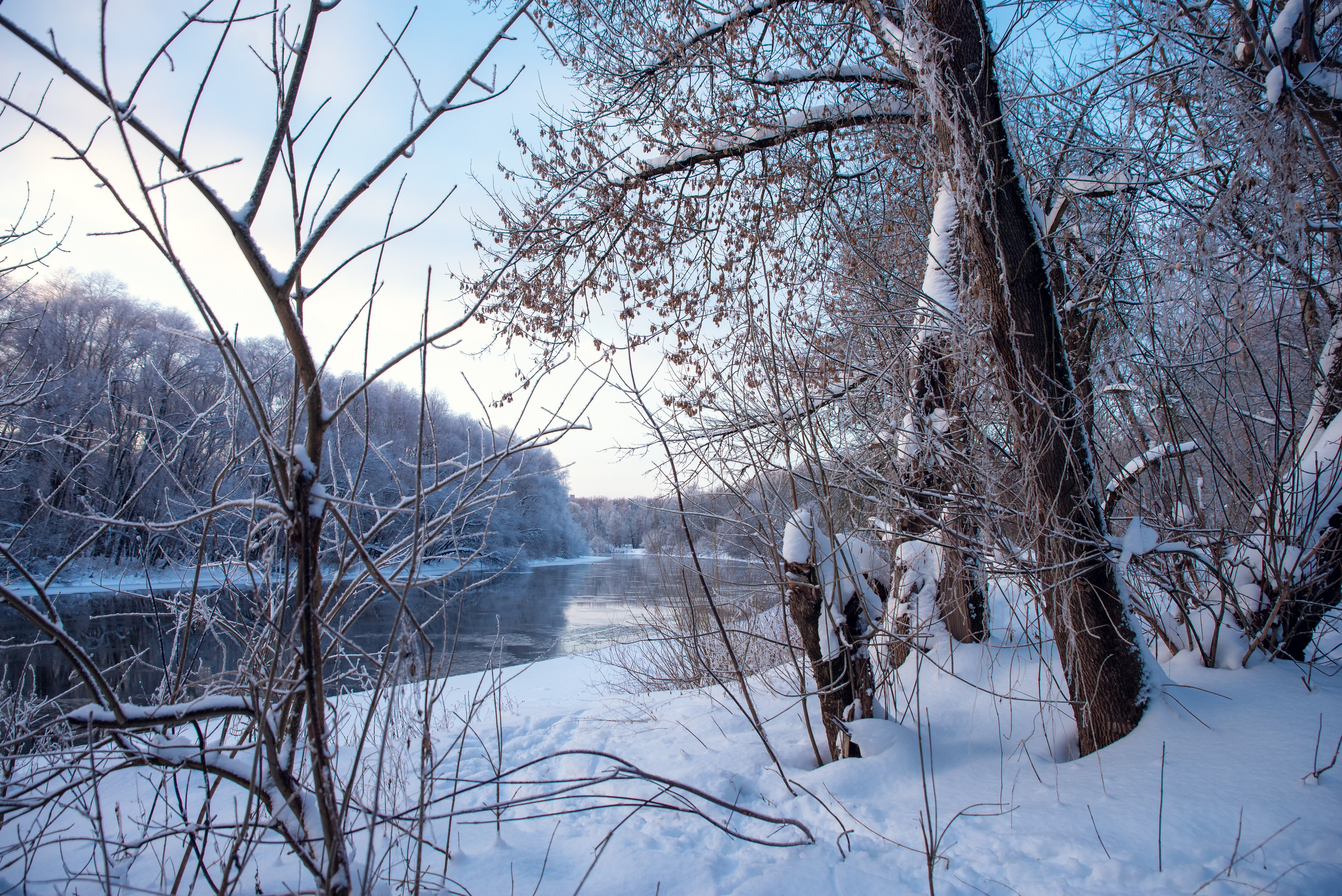 Зимушка зима. Фотограф Крещение Венчание Москва