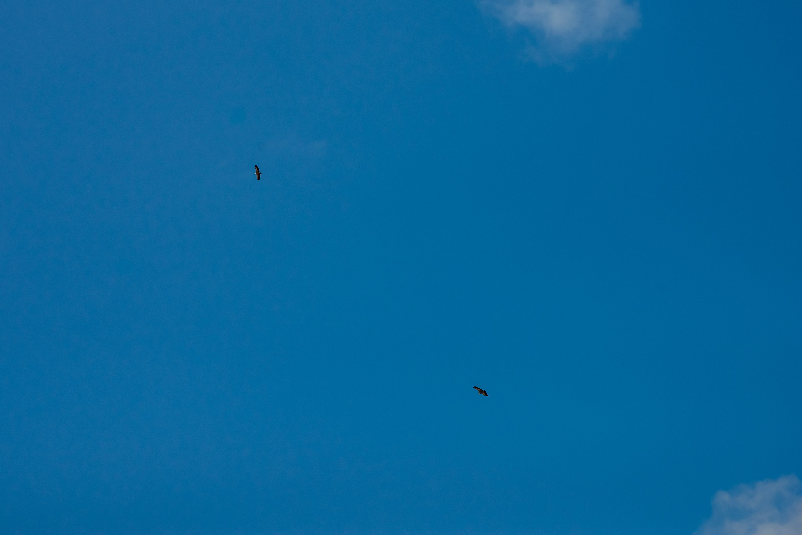 Дагестан. Фотограф Крещение Венчание Москва