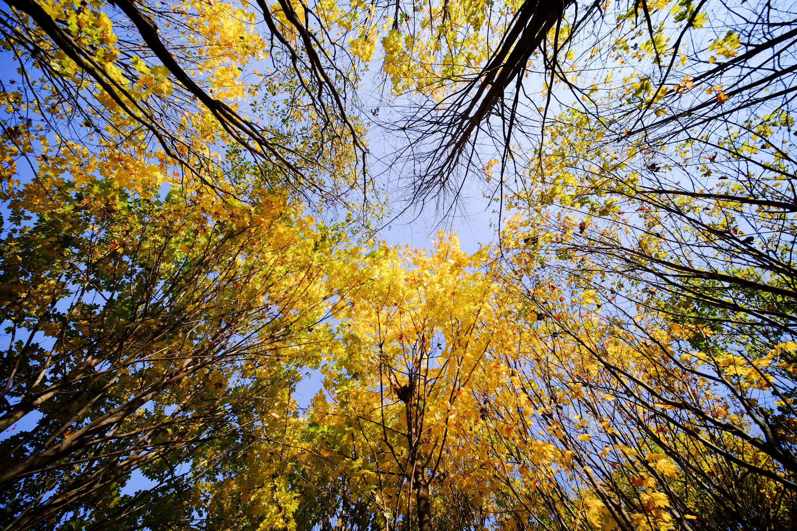 Nature. Шевцов Данила — семейный фотограф