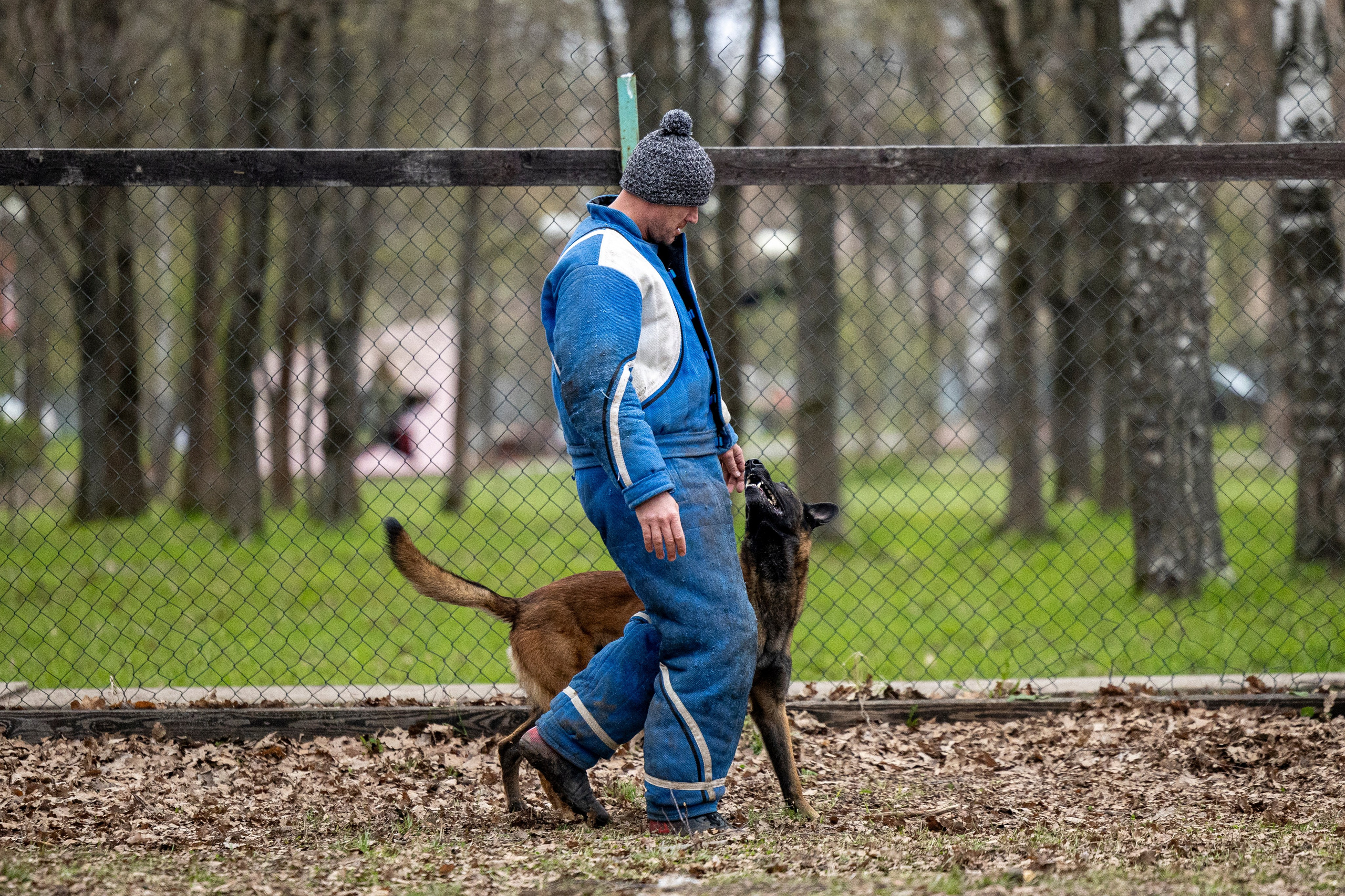 Квалификационные состязания по мондьорингу г. Вологда 11.05.24. Фотограф-анималист Анна Маринич