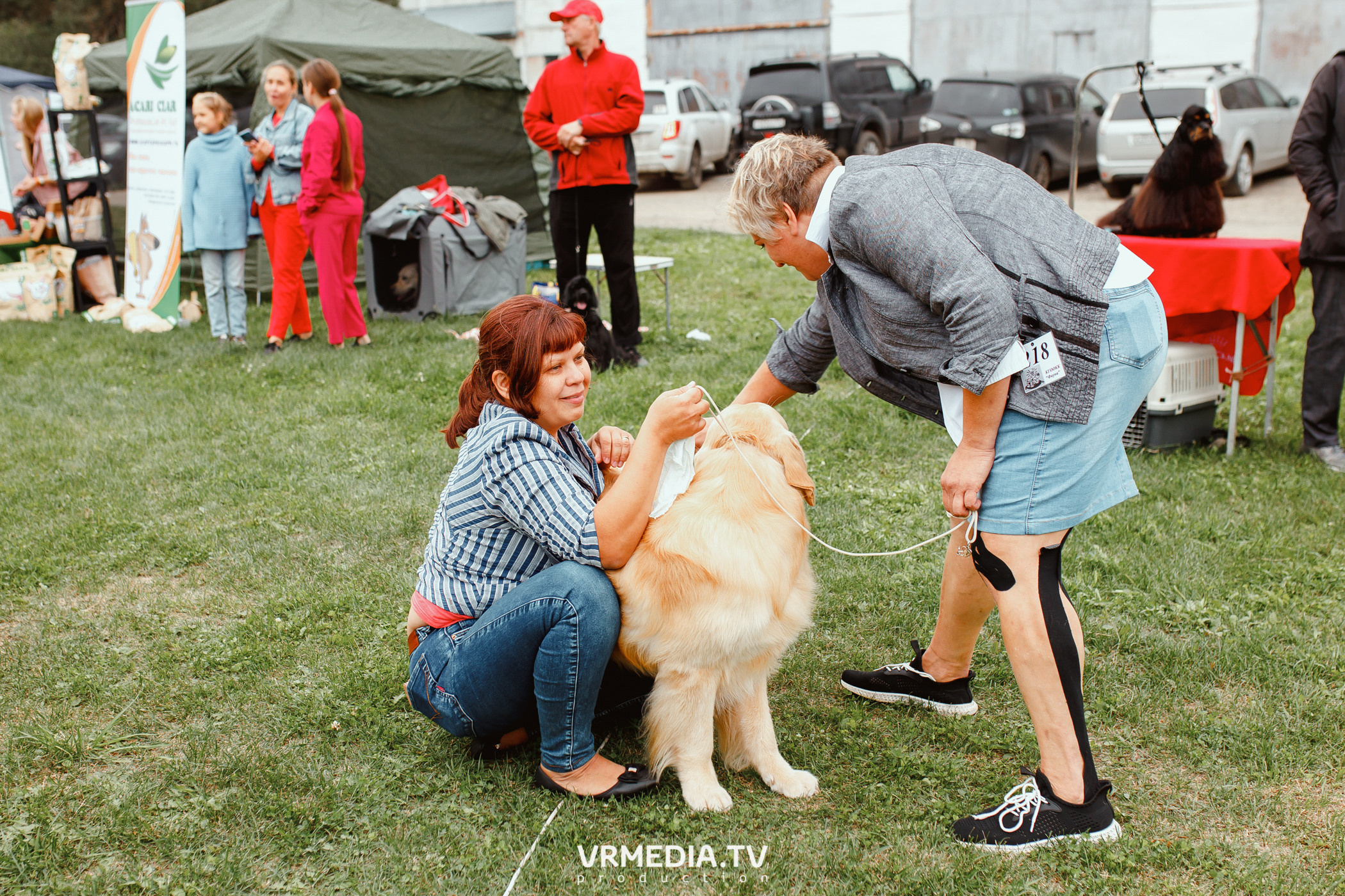 Монопородная выставка лабрадоров «КУЗБАСС 2021»