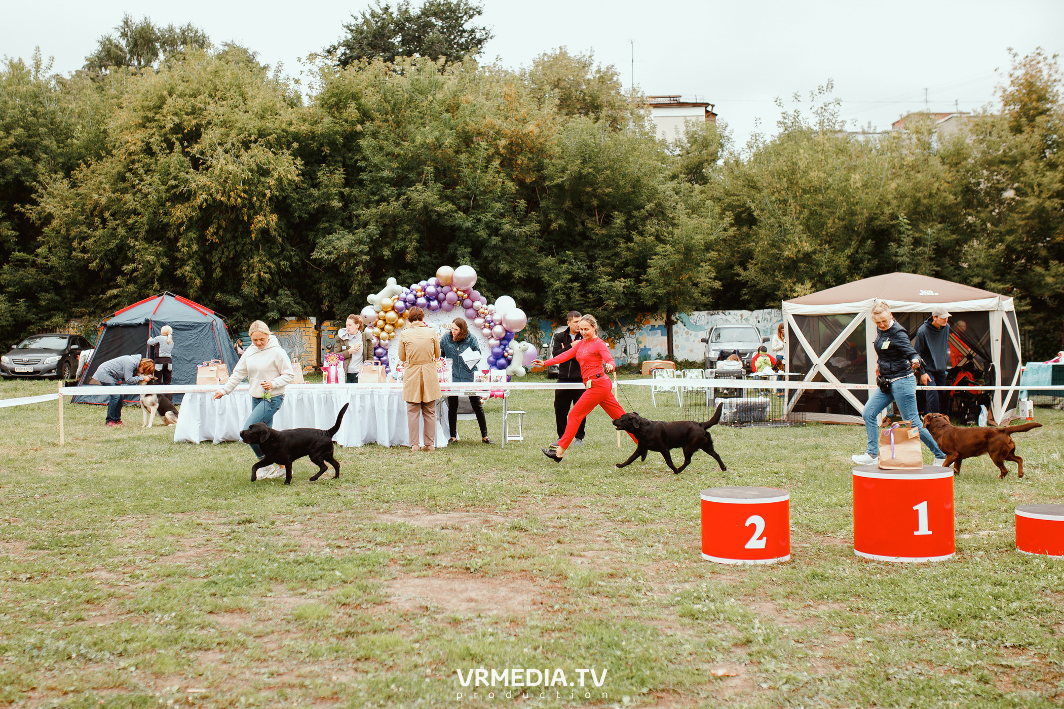 Монопородная выставка лабрадоров «КУЗБАСС 2021»