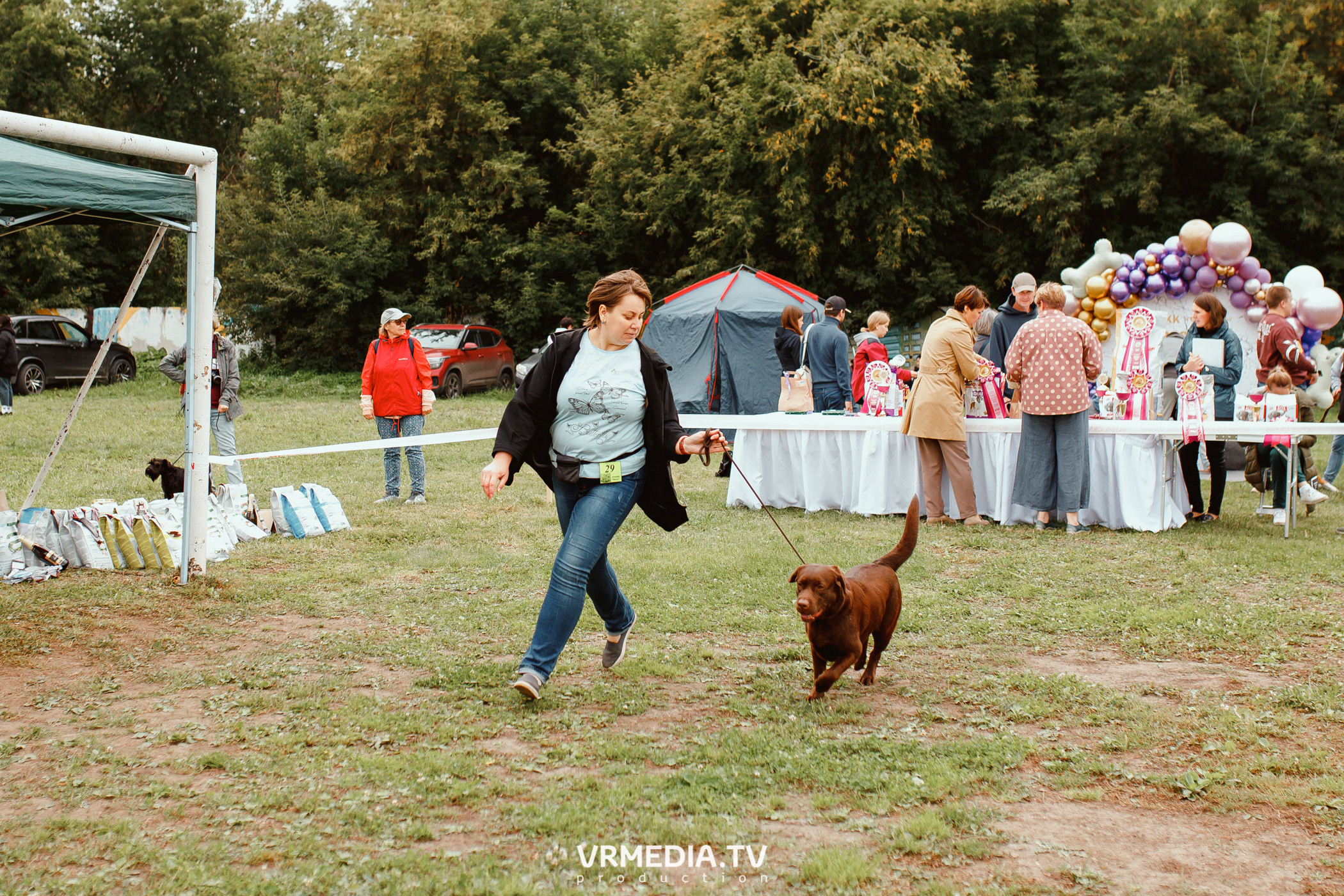 Монопородная выставка лабрадоров «КУЗБАСС 2021»