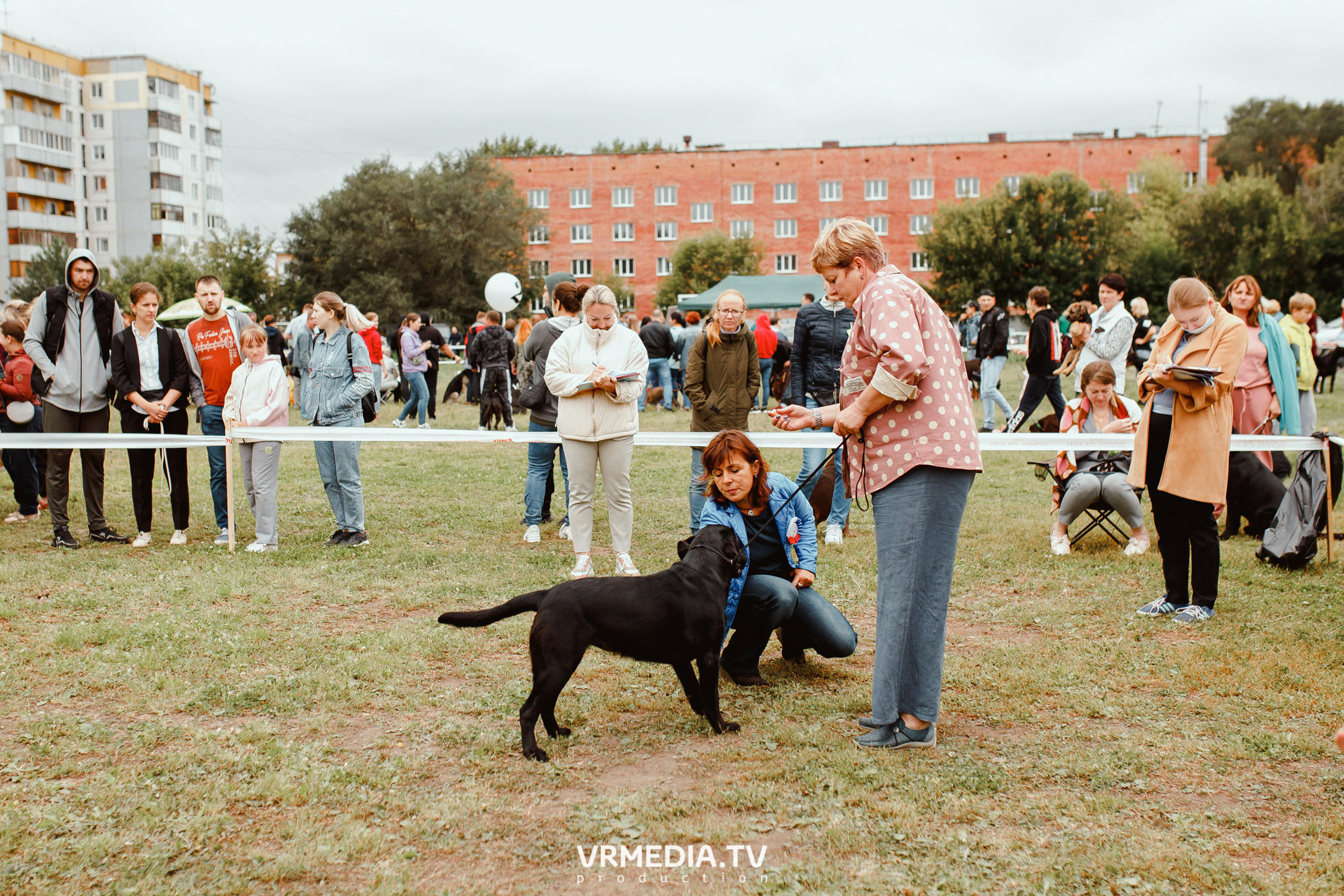Монопородная выставка лабрадоров «КУЗБАСС 2021»