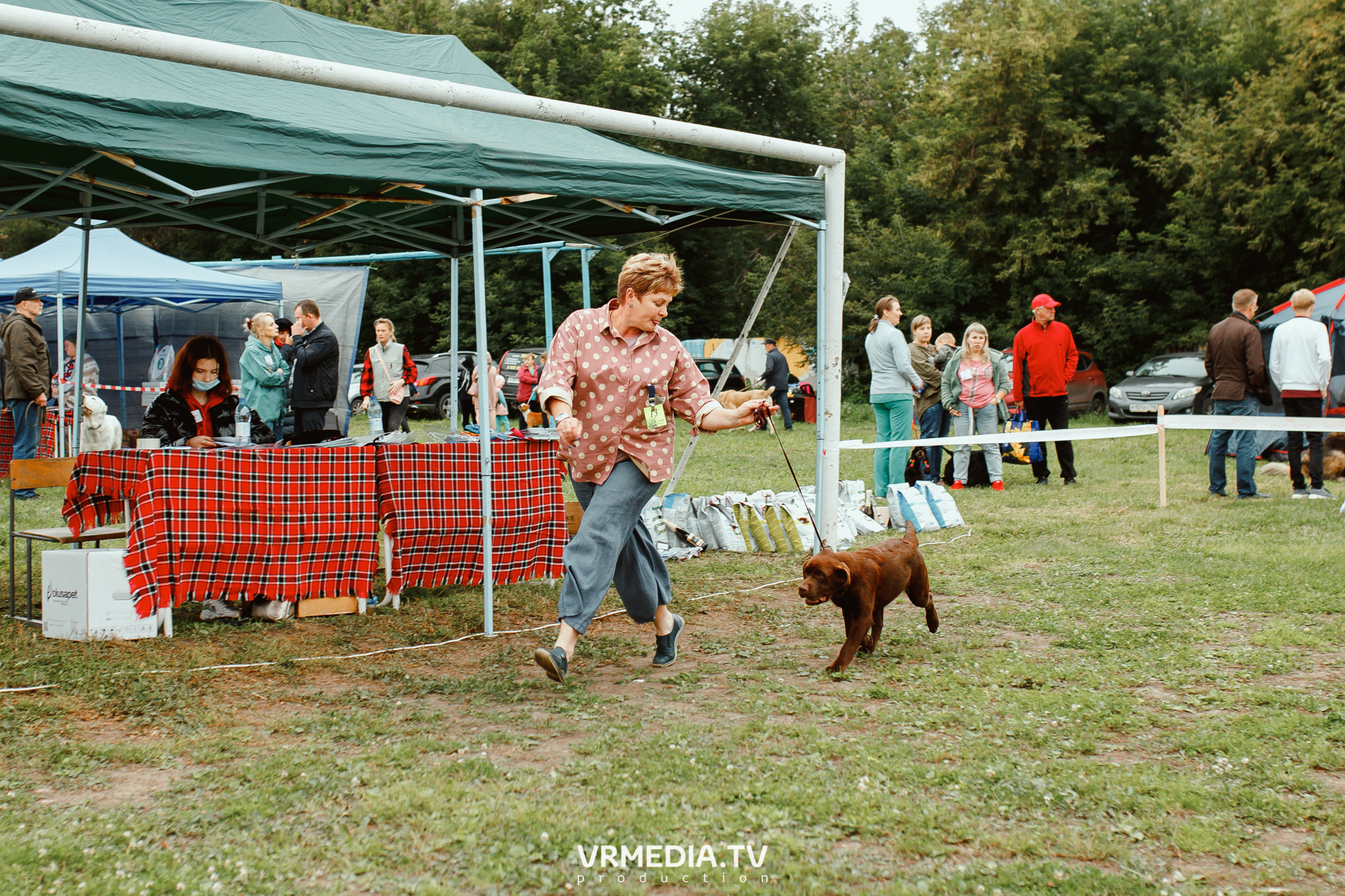 Монопородная выставка лабрадоров «КУЗБАСС 2021»