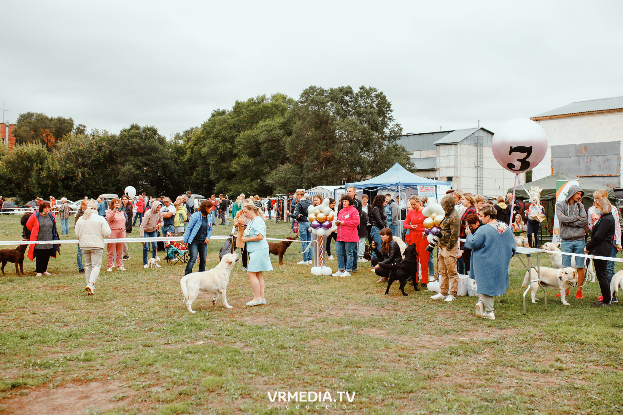 Монопородная выставка лабрадоров «КУЗБАСС 2021»