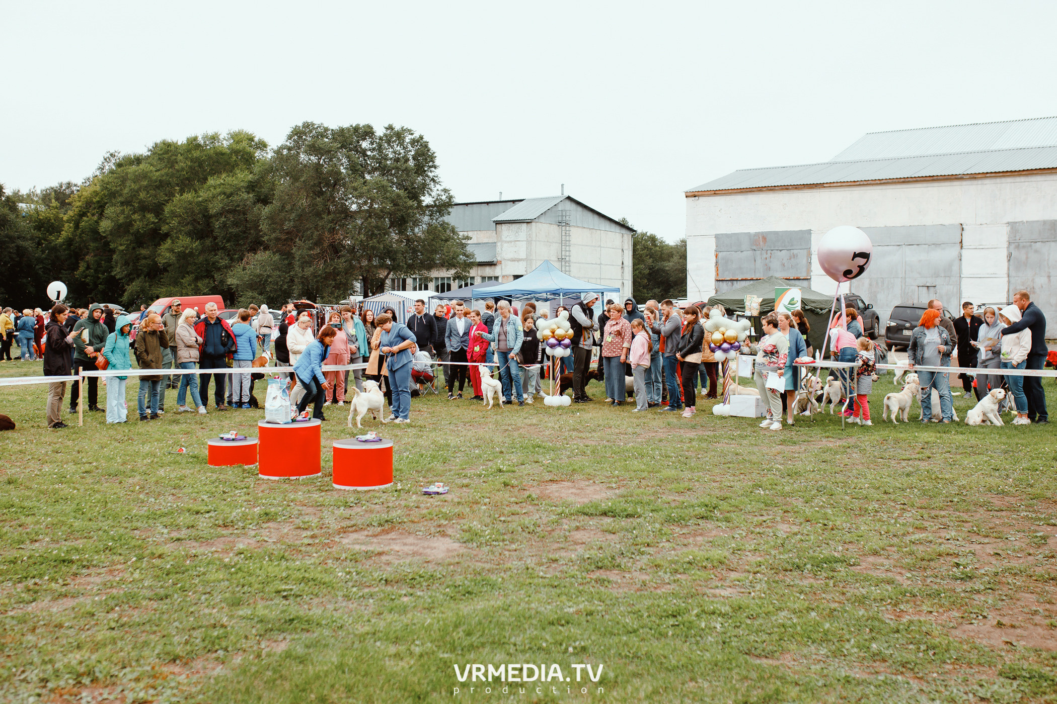 Монопородная выставка лабрадоров «КУЗБАСС 2021»