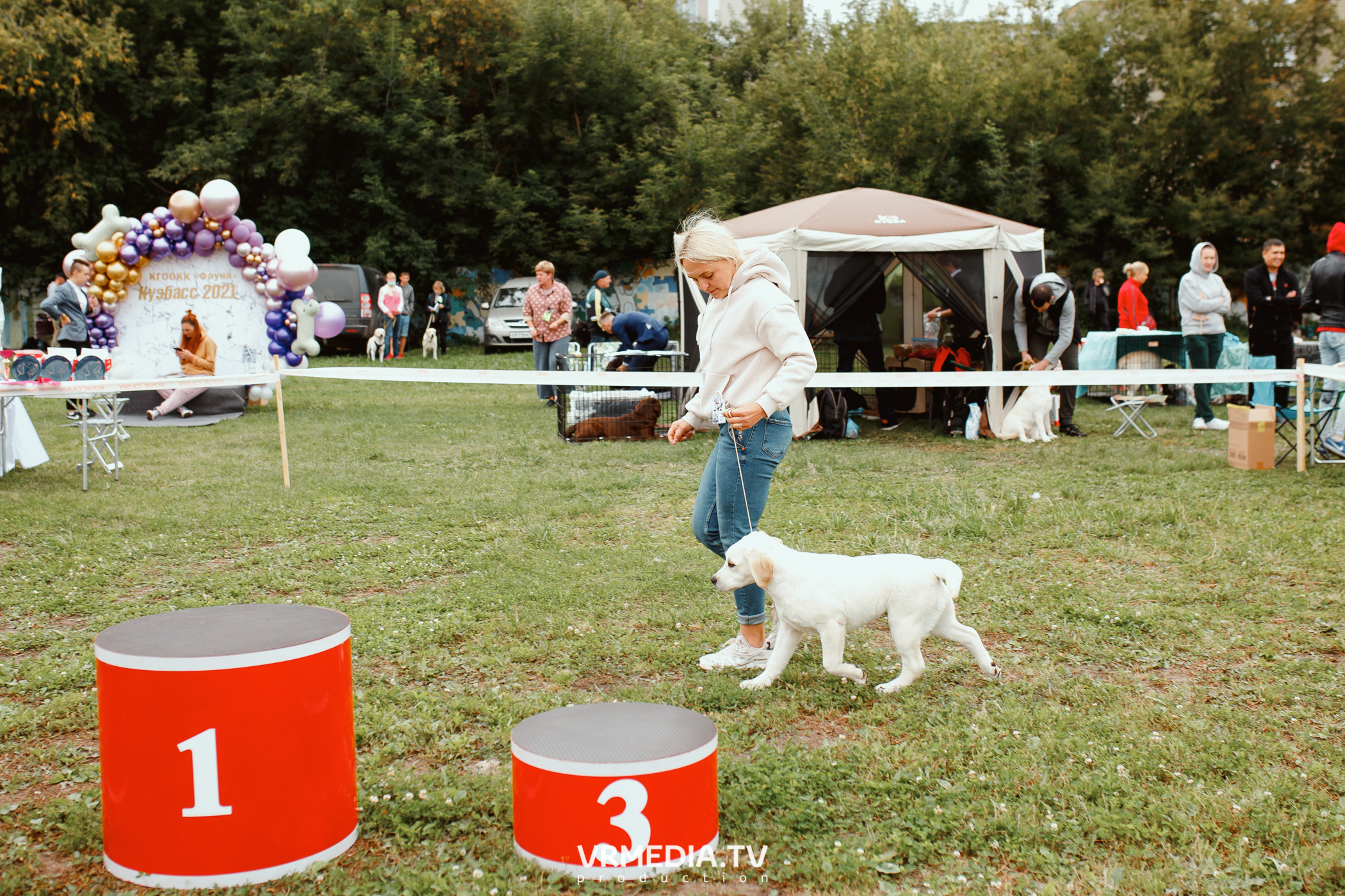 Монопородная выставка лабрадоров «КУЗБАСС 2021»