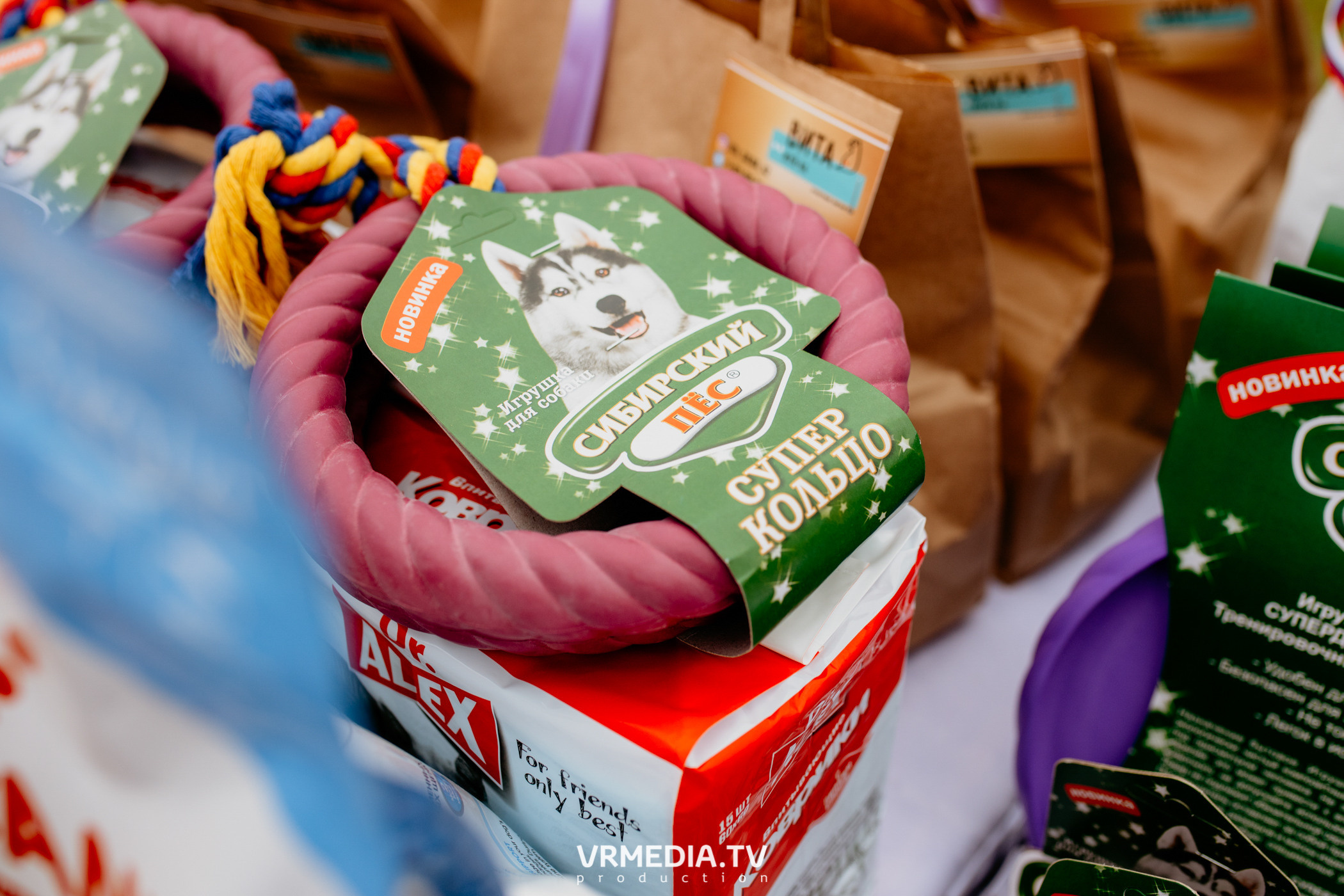 Монопородная выставка лабрадоров «КУЗБАСС 2021»