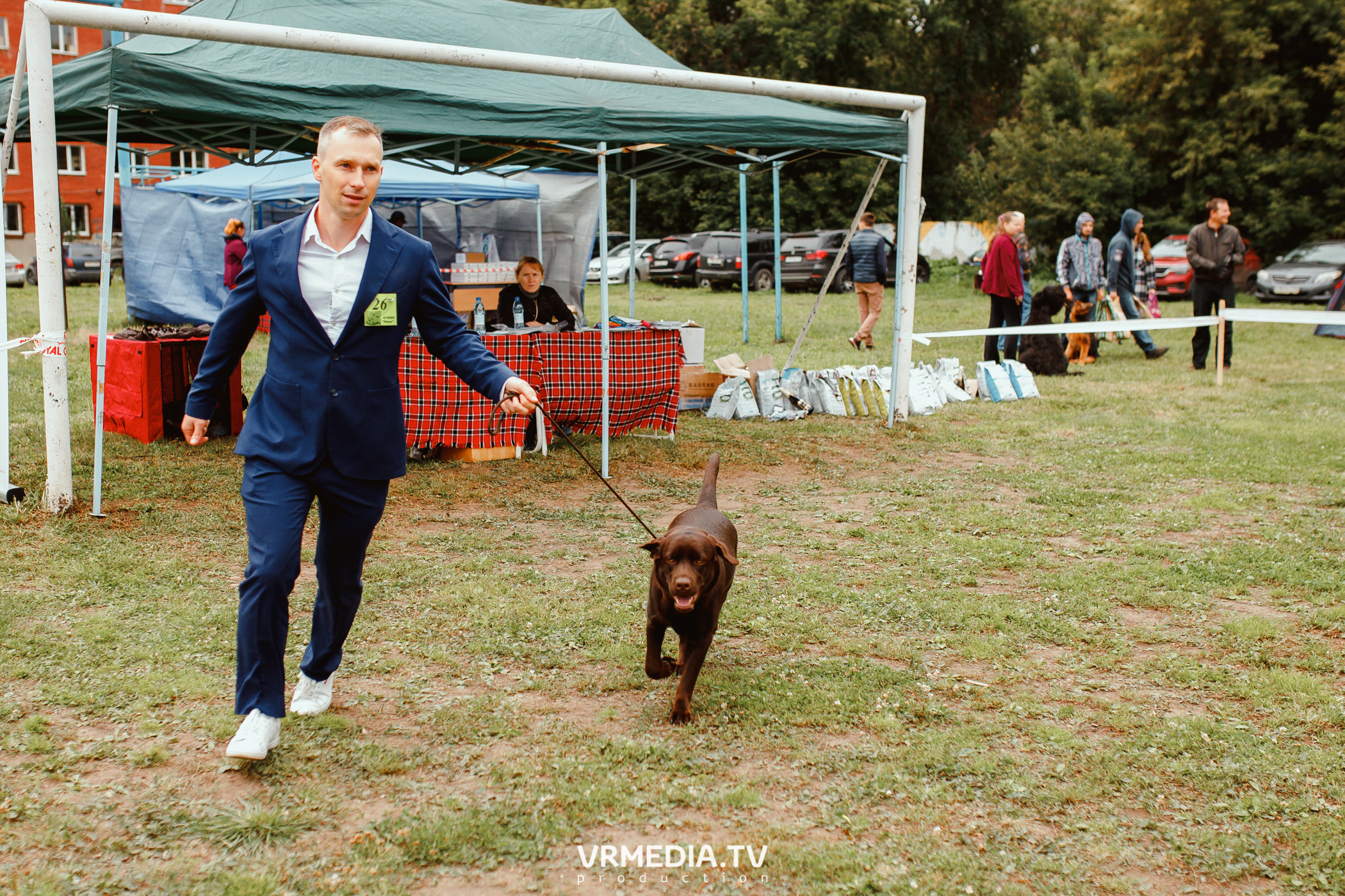 Монопородная выставка лабрадоров «КУЗБАСС 2021»