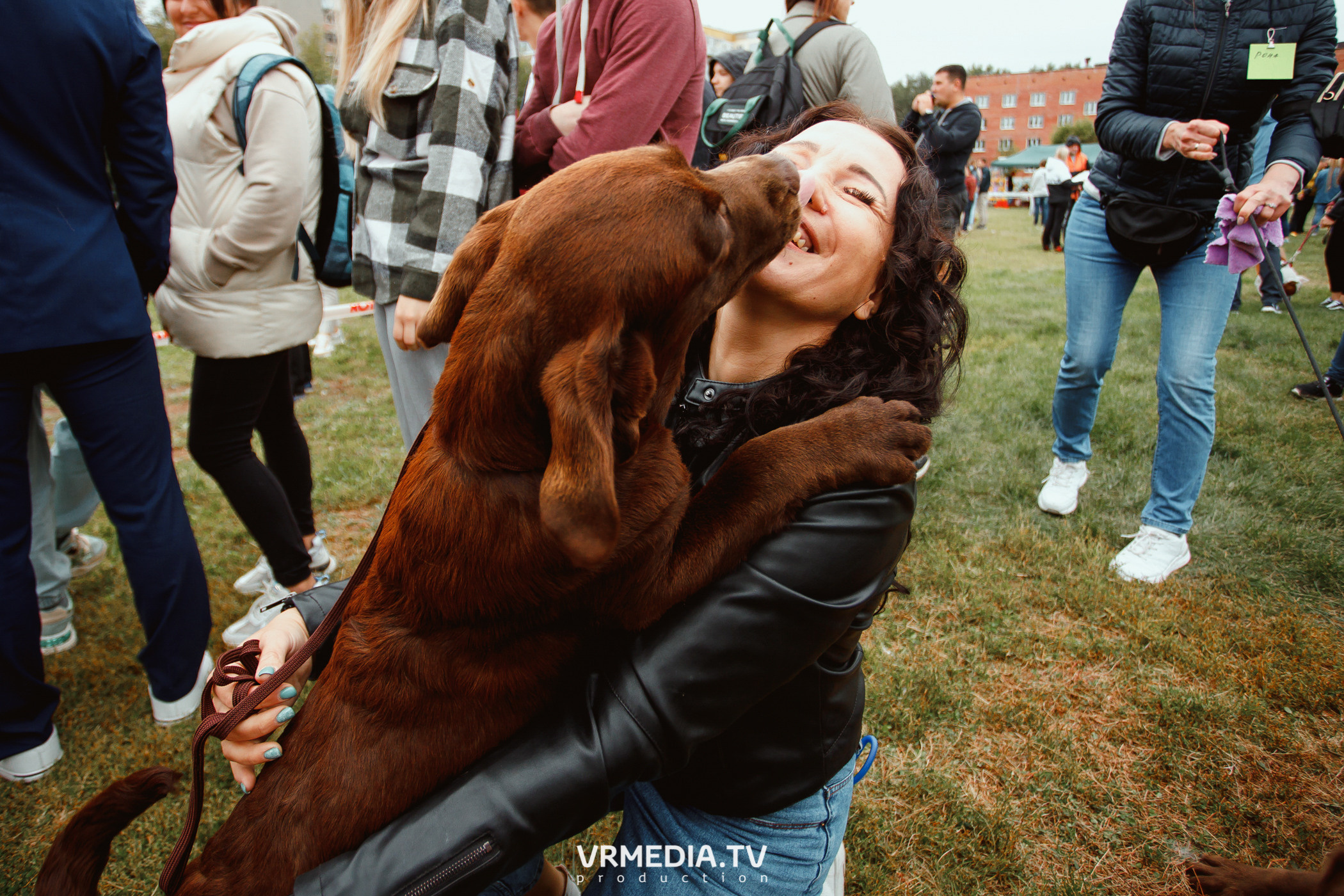 Монопородная выставка лабрадоров «КУЗБАСС 2021»