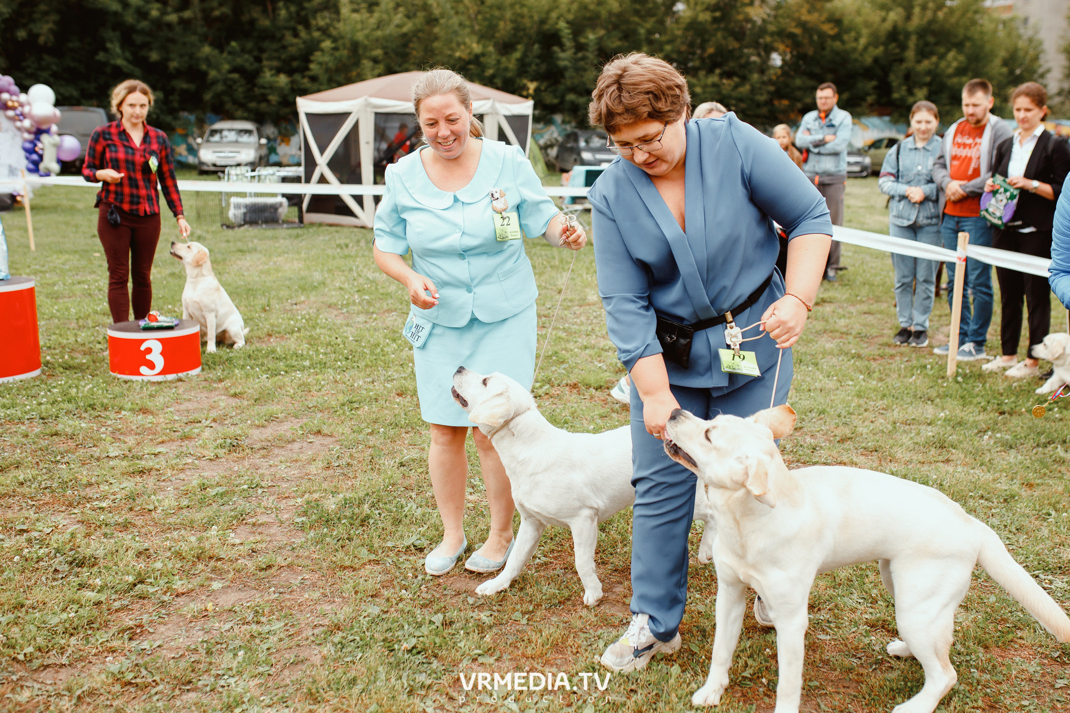 Монопородная выставка лабрадоров «КУЗБАСС 2021»