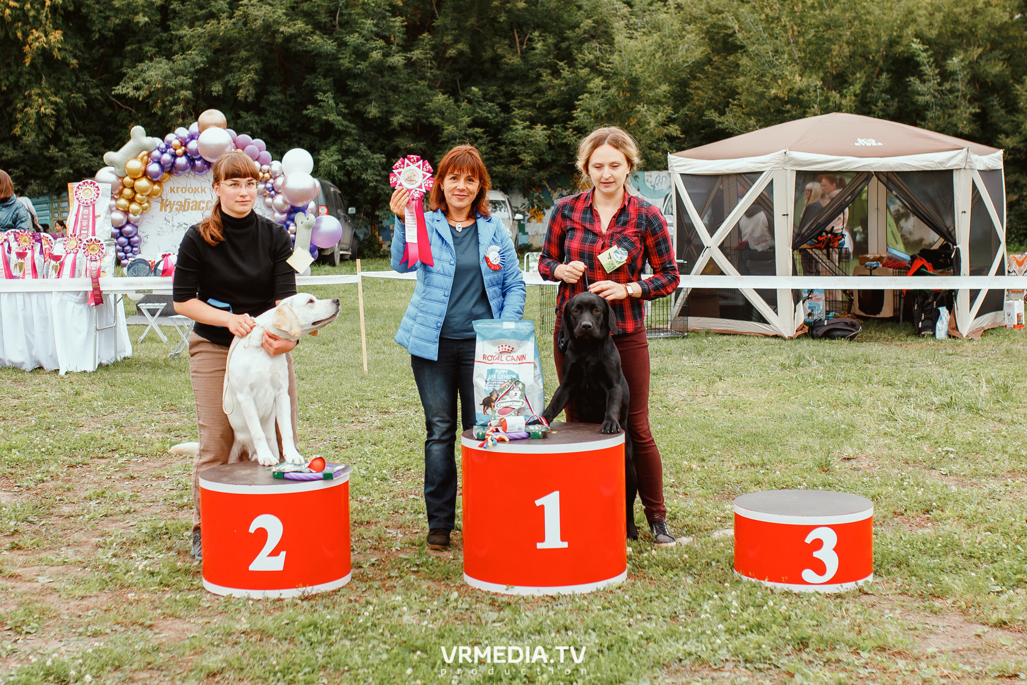 Монопородная выставка лабрадоров «КУЗБАСС 2021»