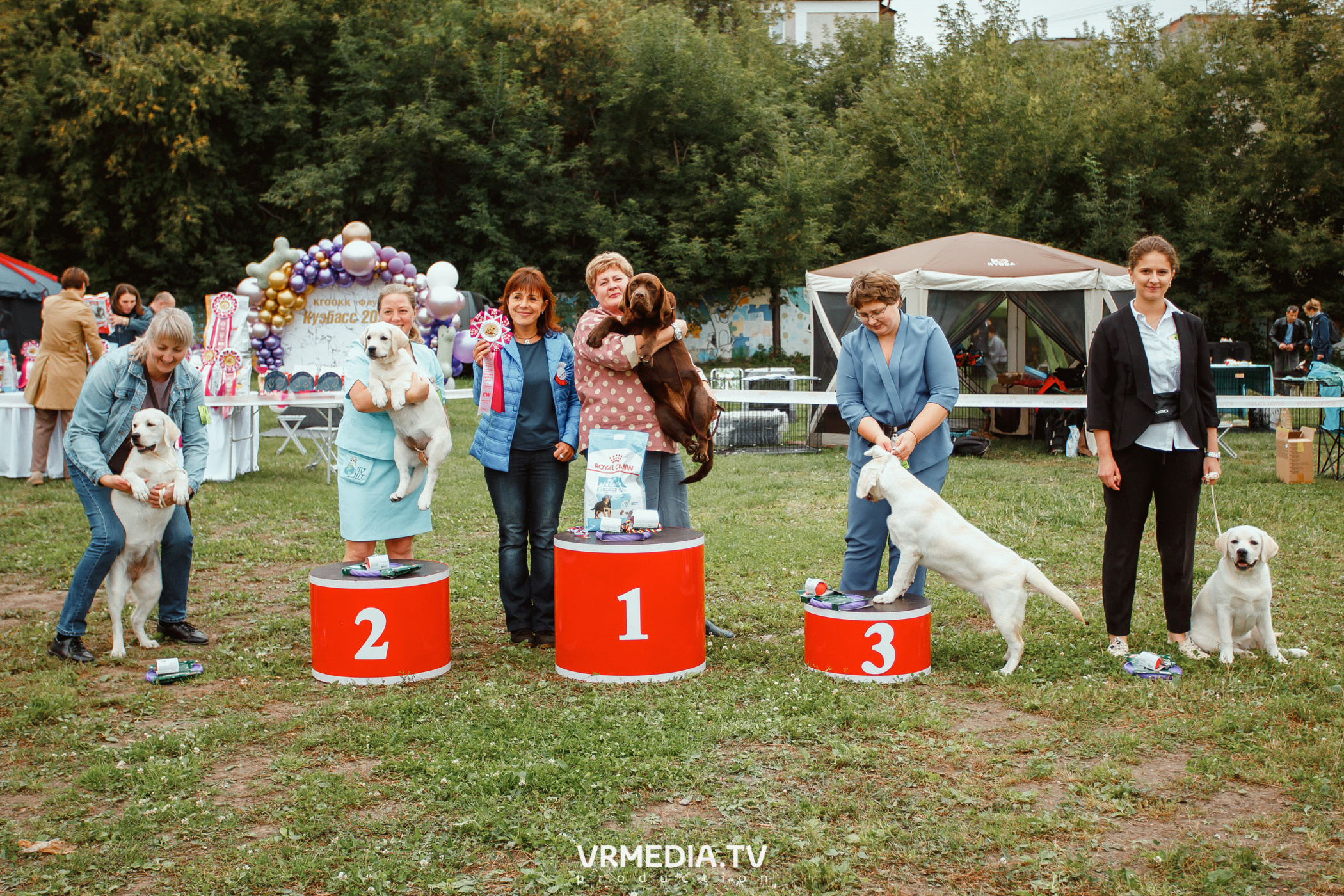 Монопородная выставка лабрадоров «КУЗБАСС 2021»