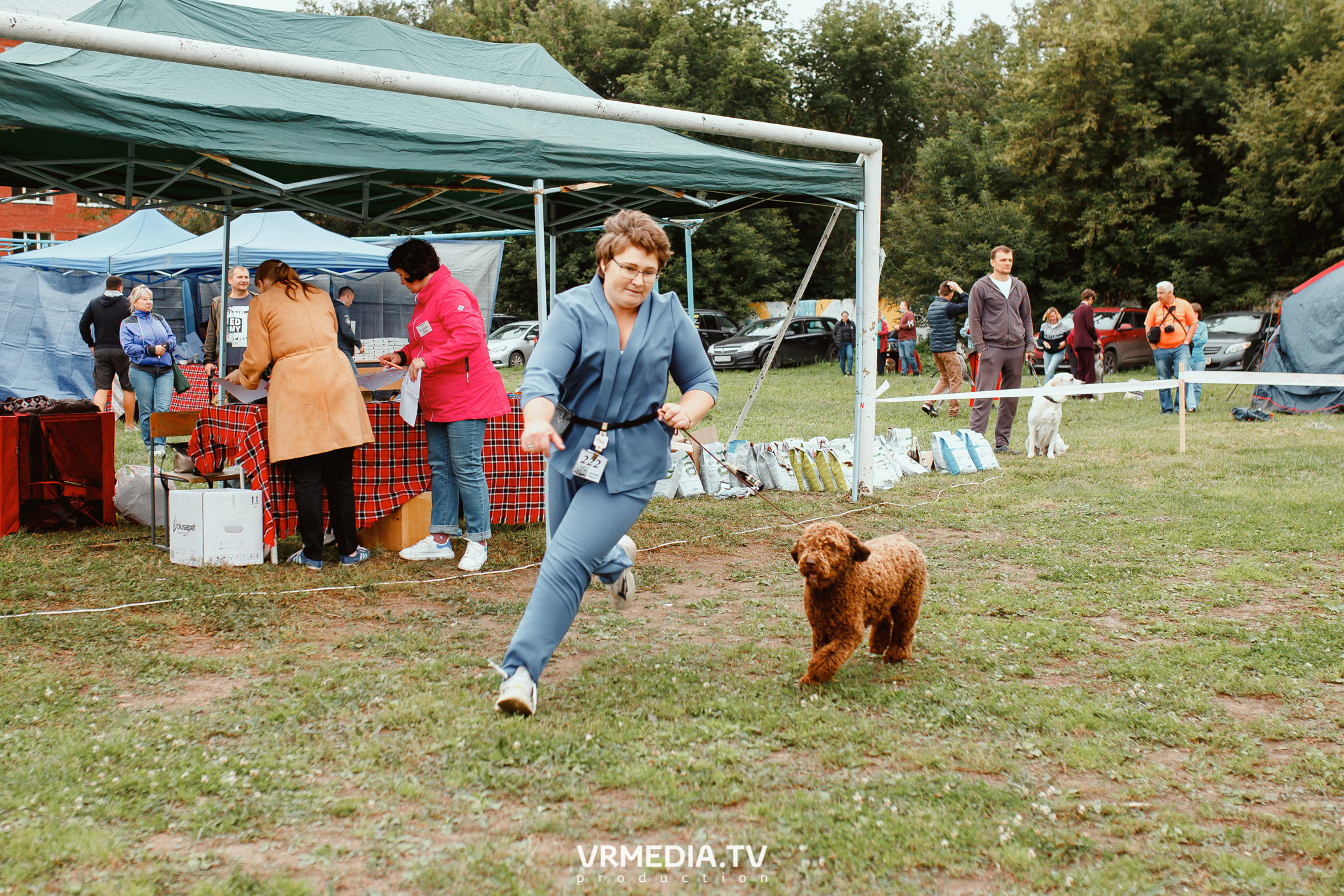 Монопородная выставка лабрадоров «КУЗБАСС 2021»