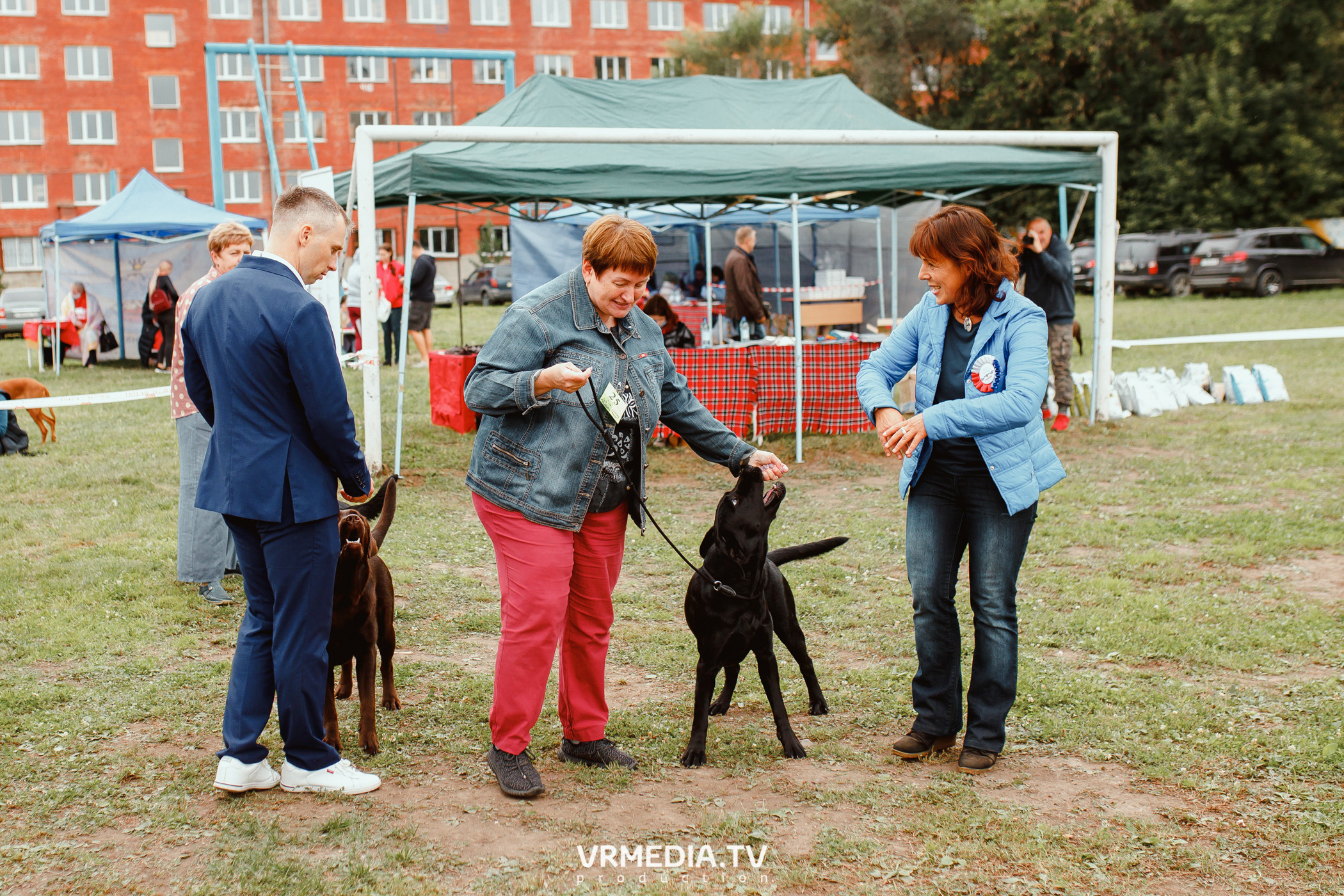 Монопородная выставка лабрадоров «КУЗБАСС 2021»