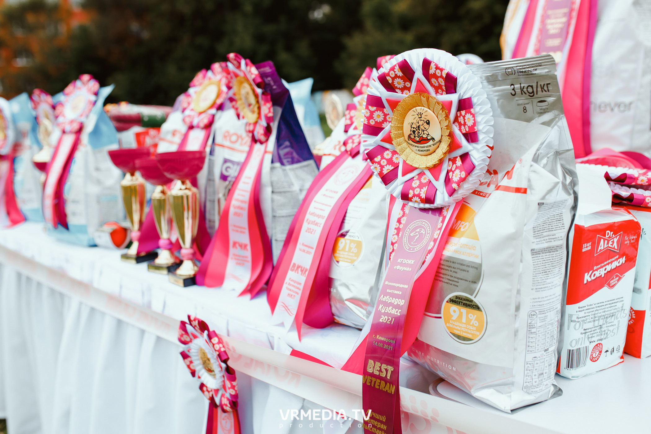 Монопородная выставка лабрадоров «КУЗБАСС 2021»