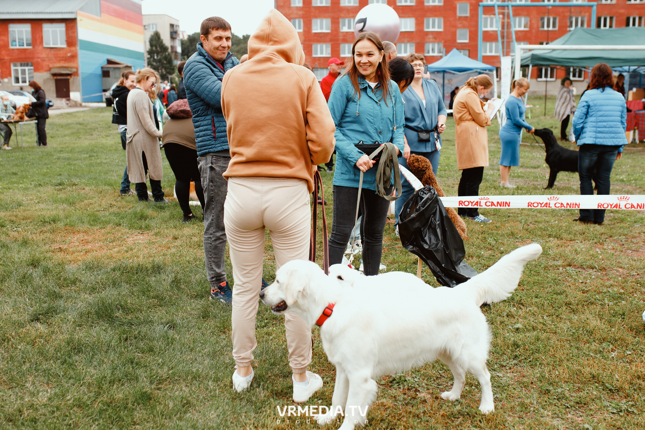 Монопородная выставка лабрадоров «КУЗБАСС 2021»