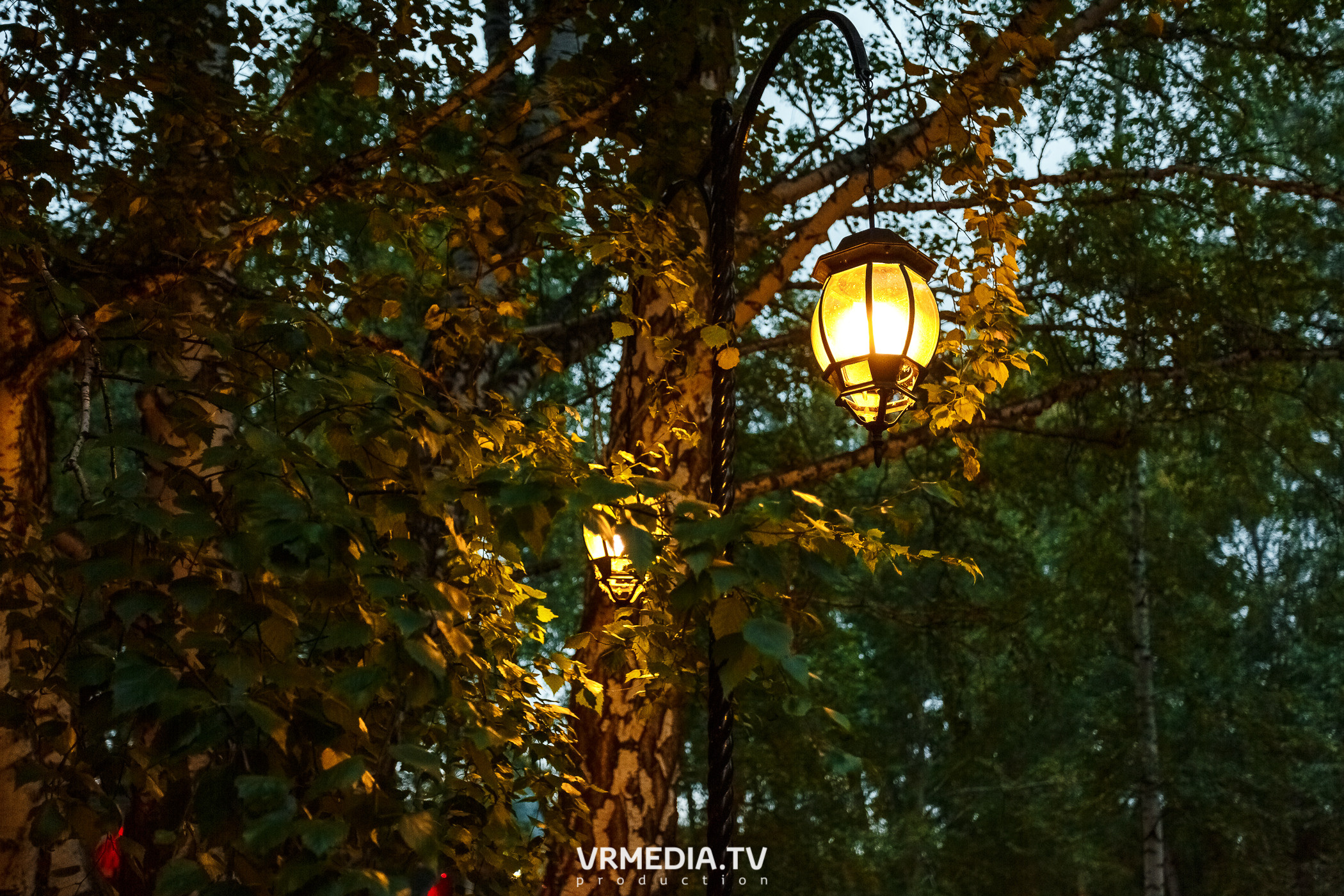 Выходные «У Петровича»