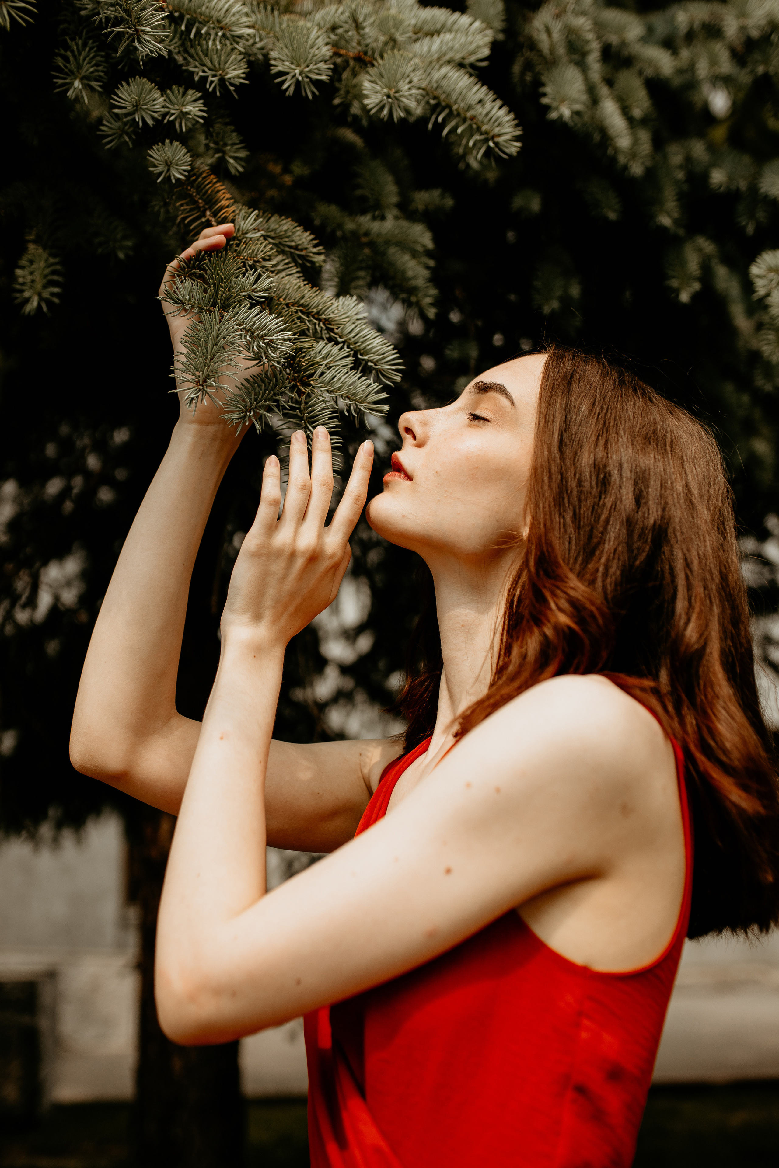 Филармония (Советский проспект, 68)