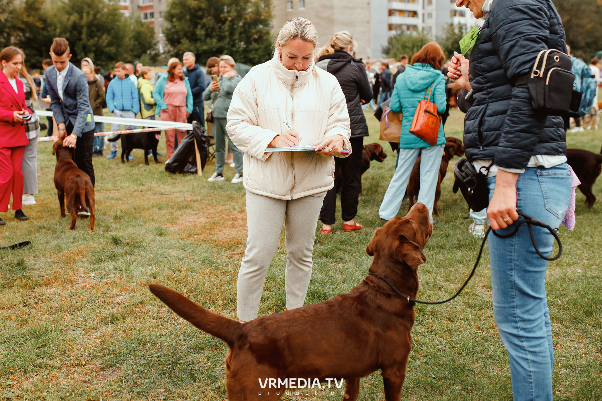Монопородная выставка лабрадоров «КУЗБАСС 2021»